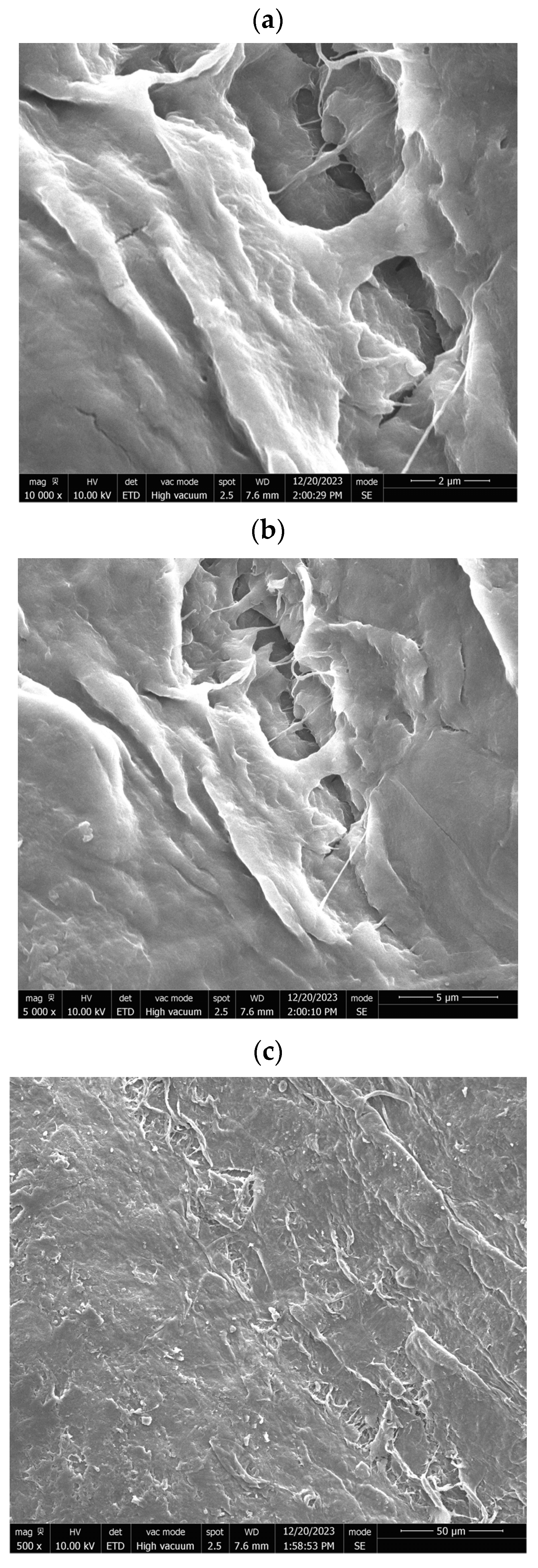 Micromachines 16 00393 g001