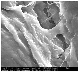 Micromachines 16 00393 i001