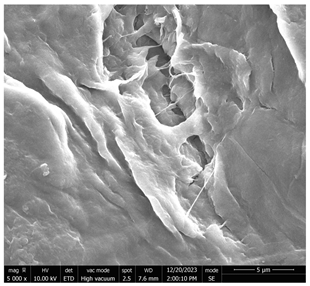 Micromachines 16 00393 i002