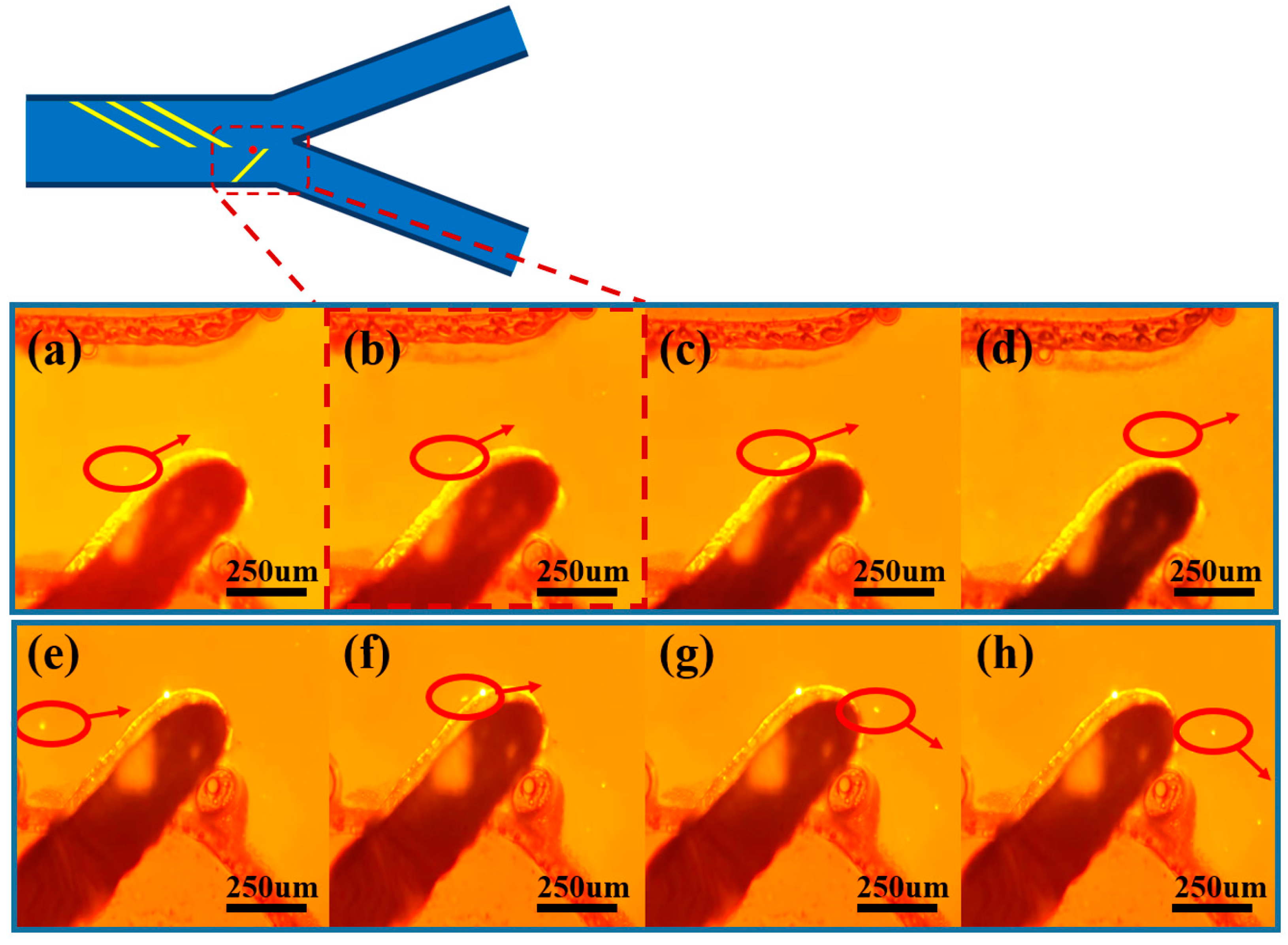 Micromachines 16 00404 g005
