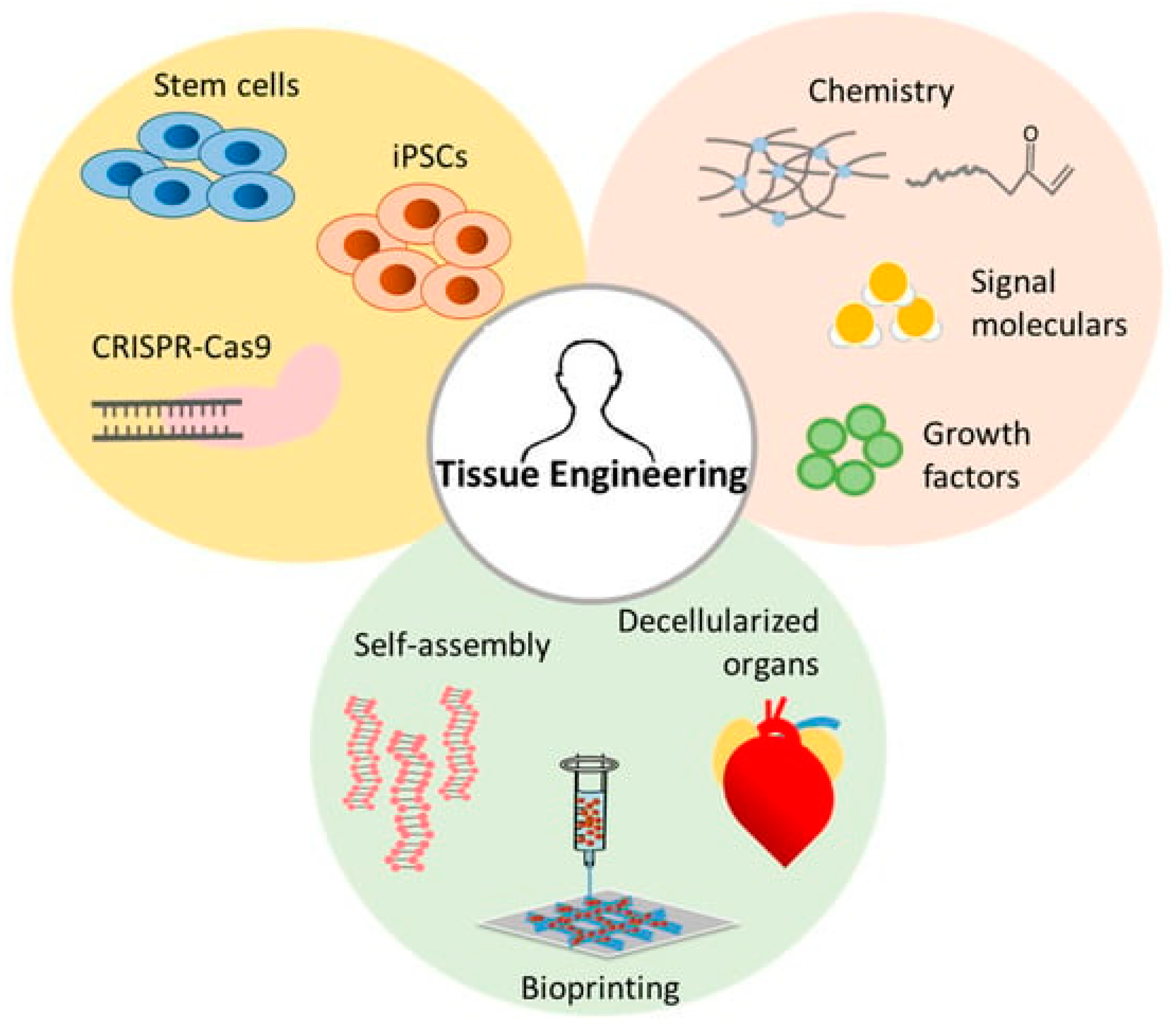 Micromachines 16 00419 g002