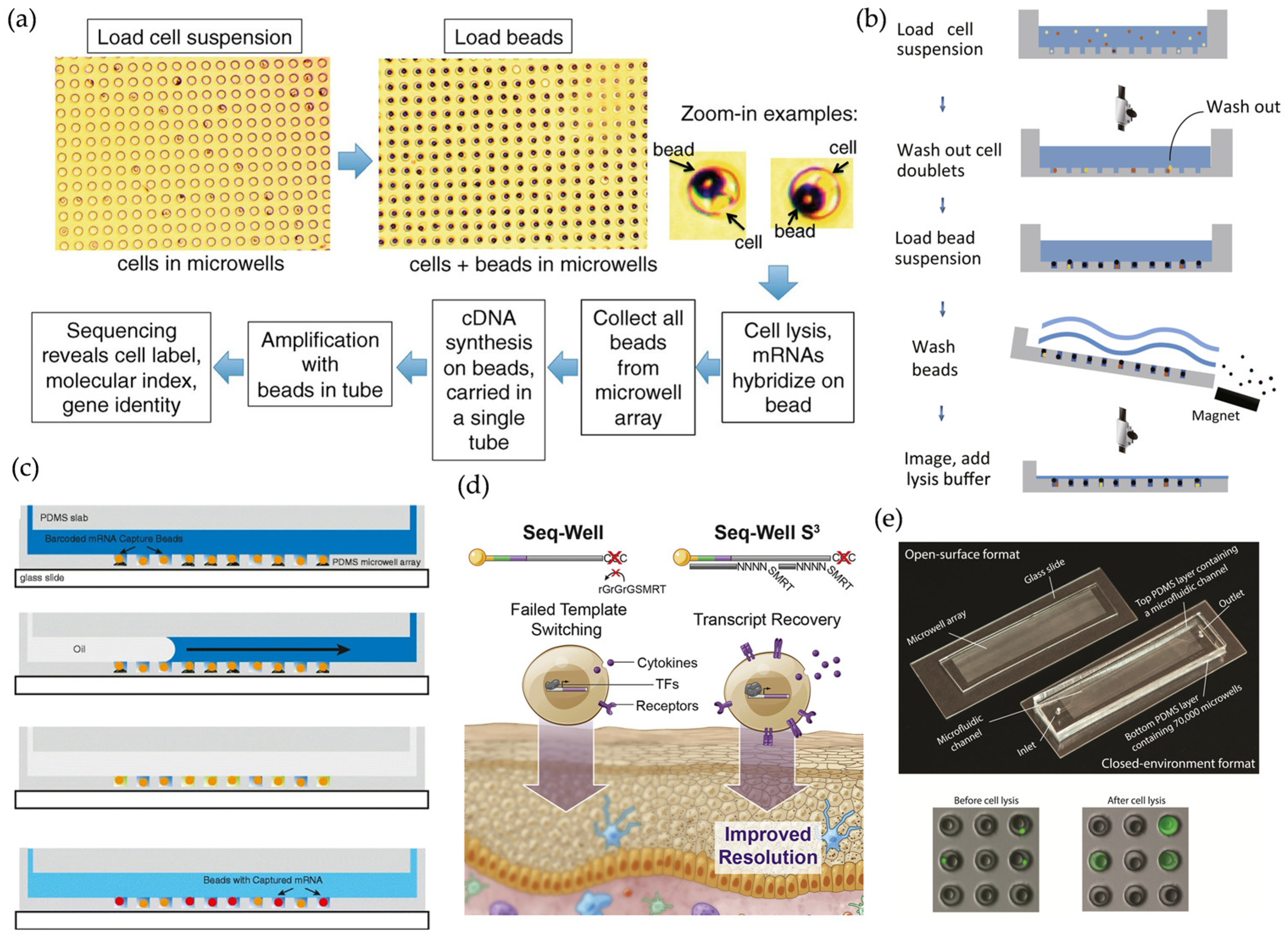 Micromachines 16 00426 g002
