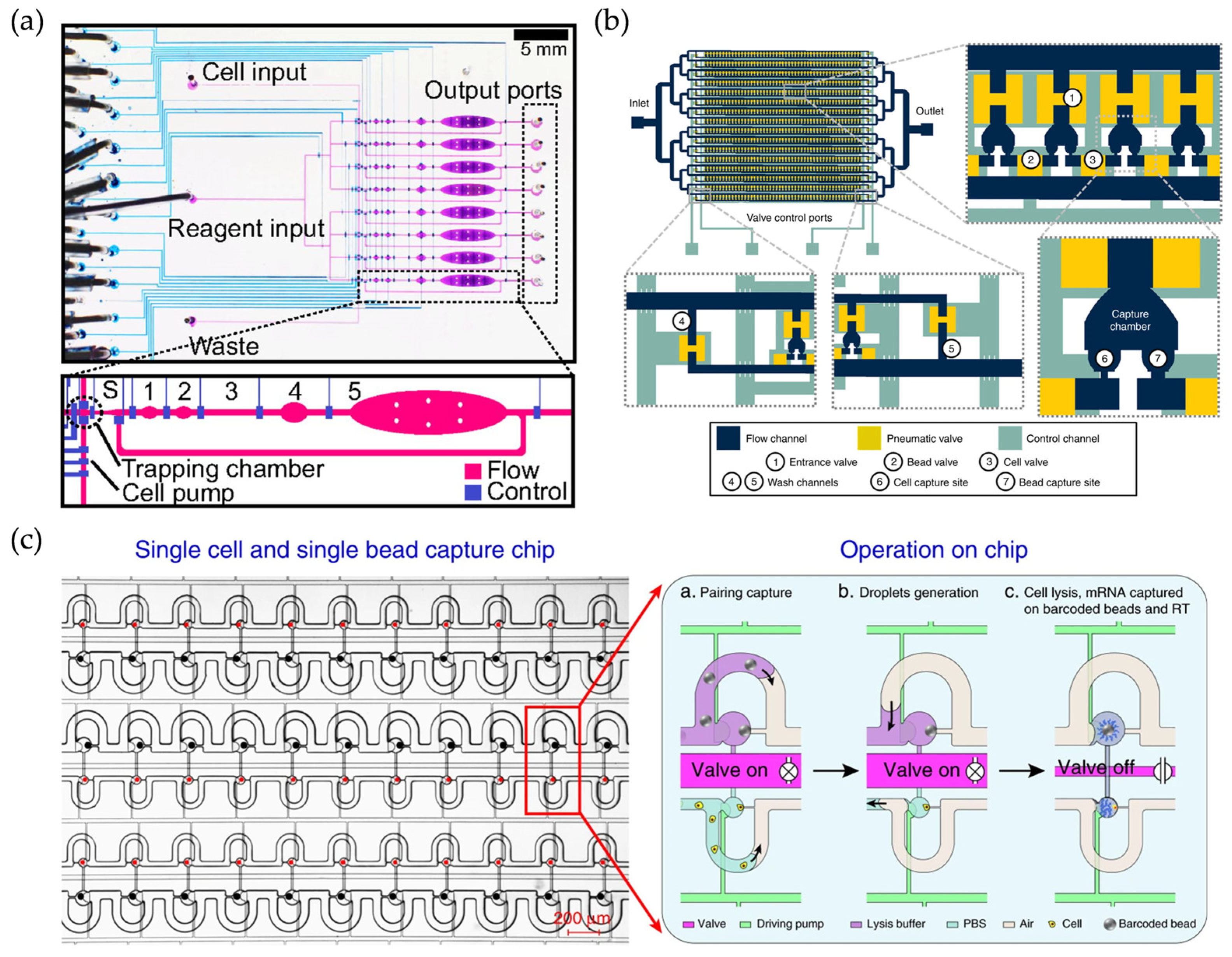 Micromachines 16 00426 g003