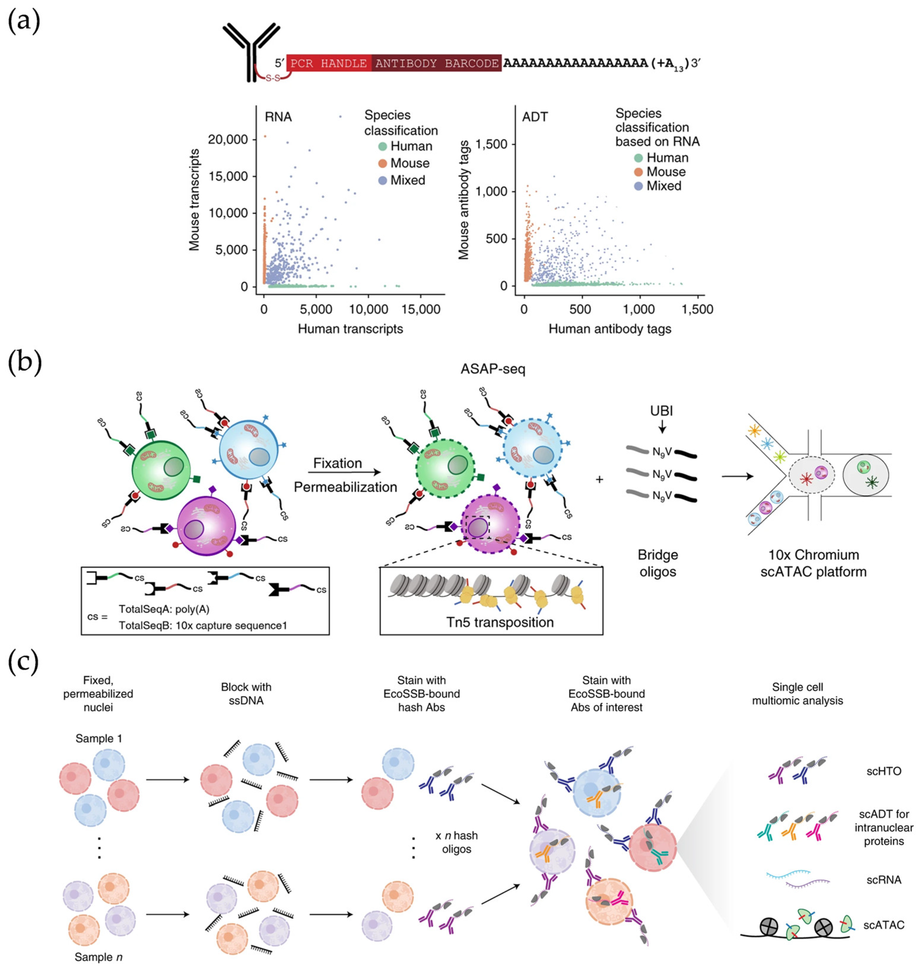 Micromachines 16 00426 g004