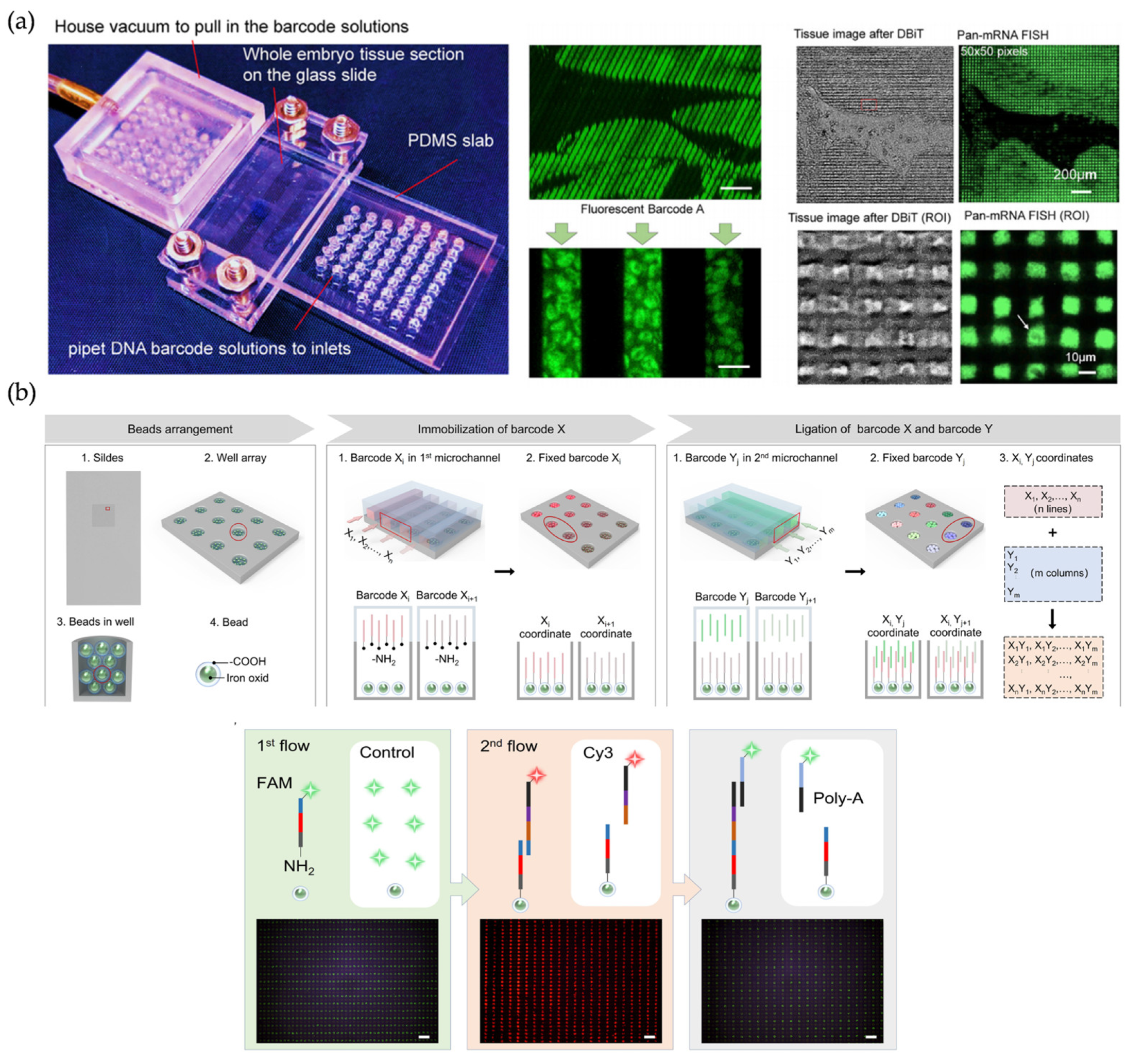 Micromachines 16 00426 g006