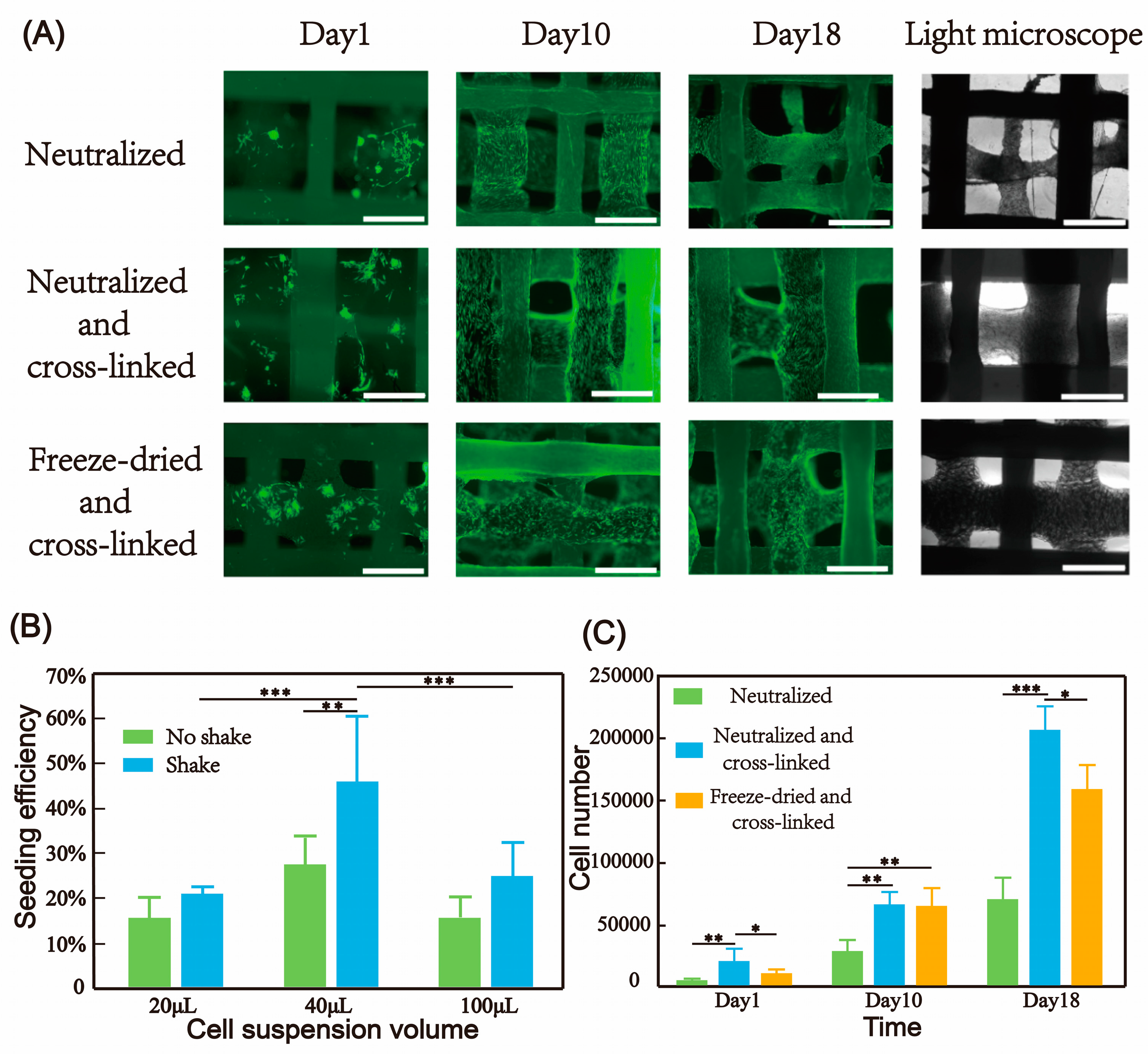 Micromachines 16 00429 g006