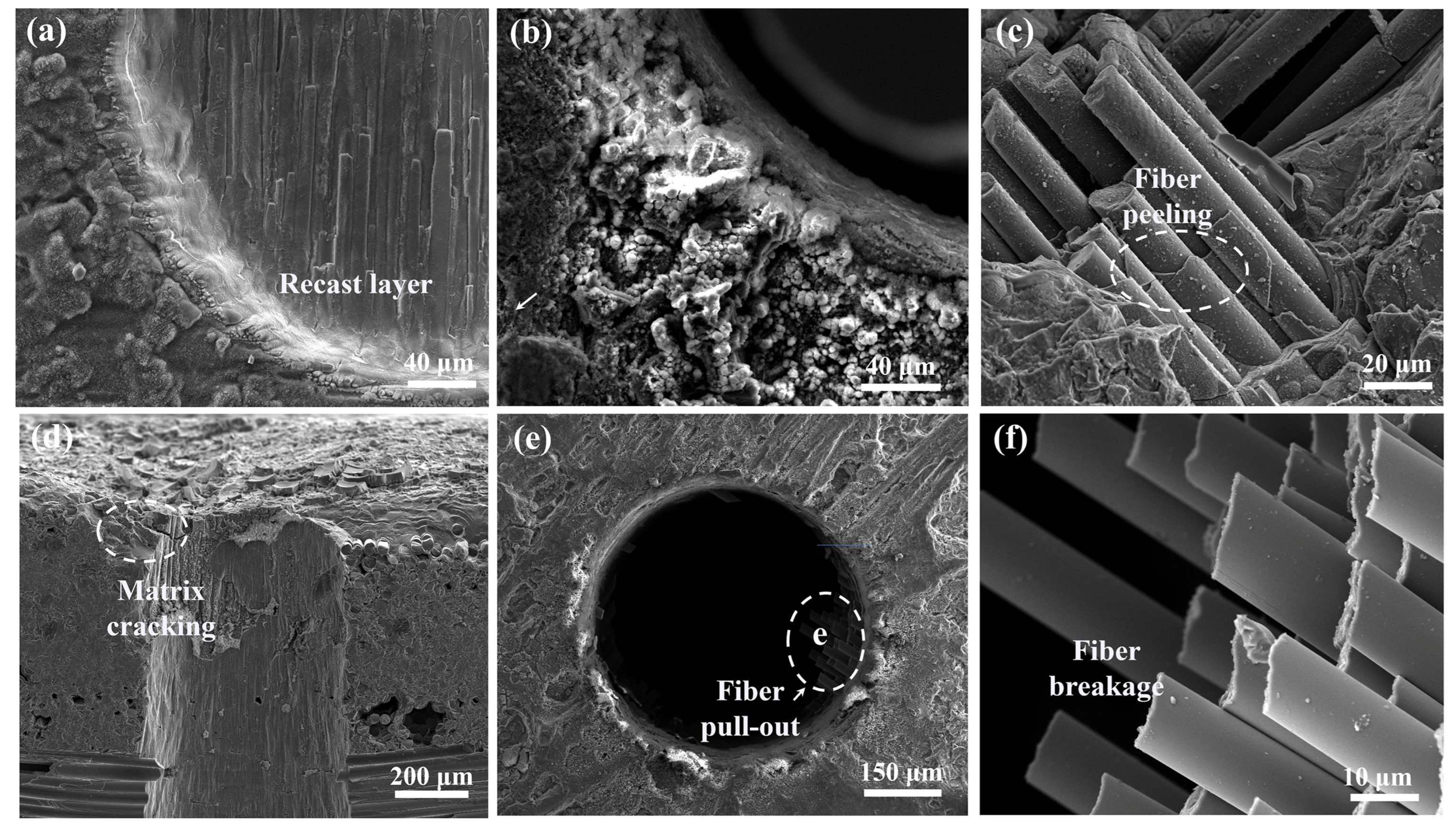 Micromachines 16 00430 g005