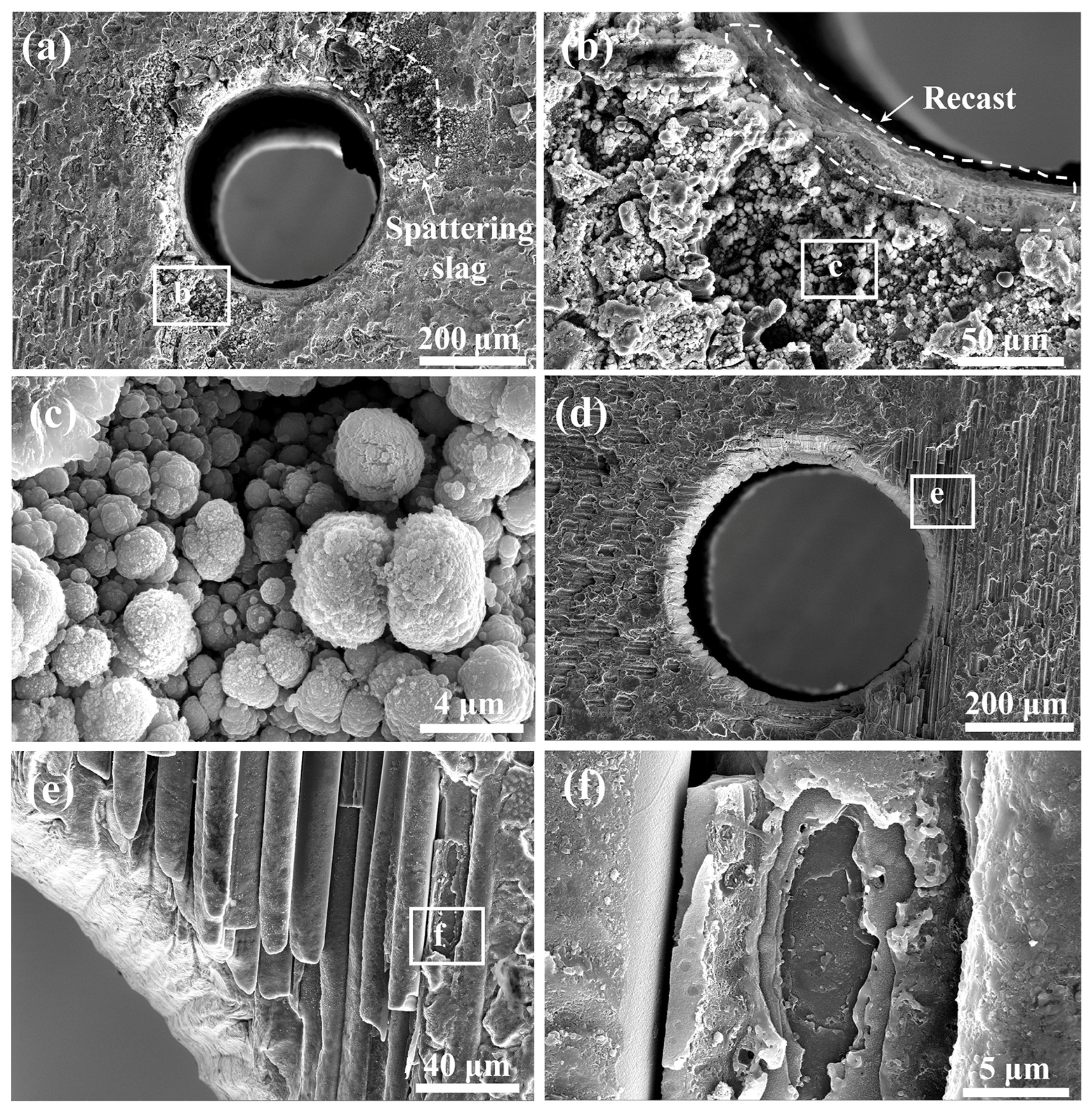 Micromachines 16 00430 g010