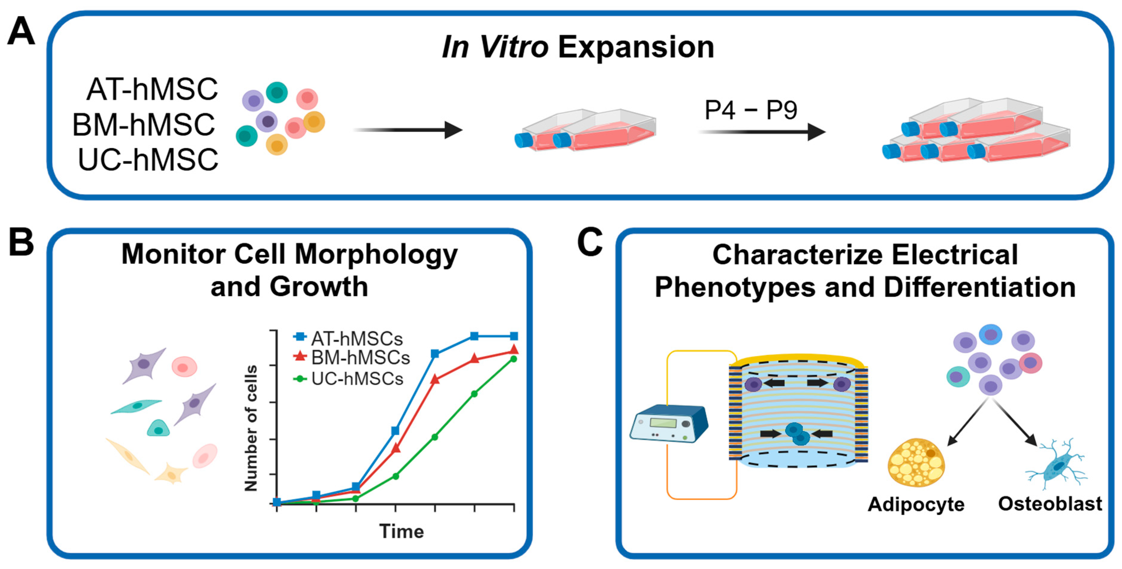 Micromachines 16 00435 g001
