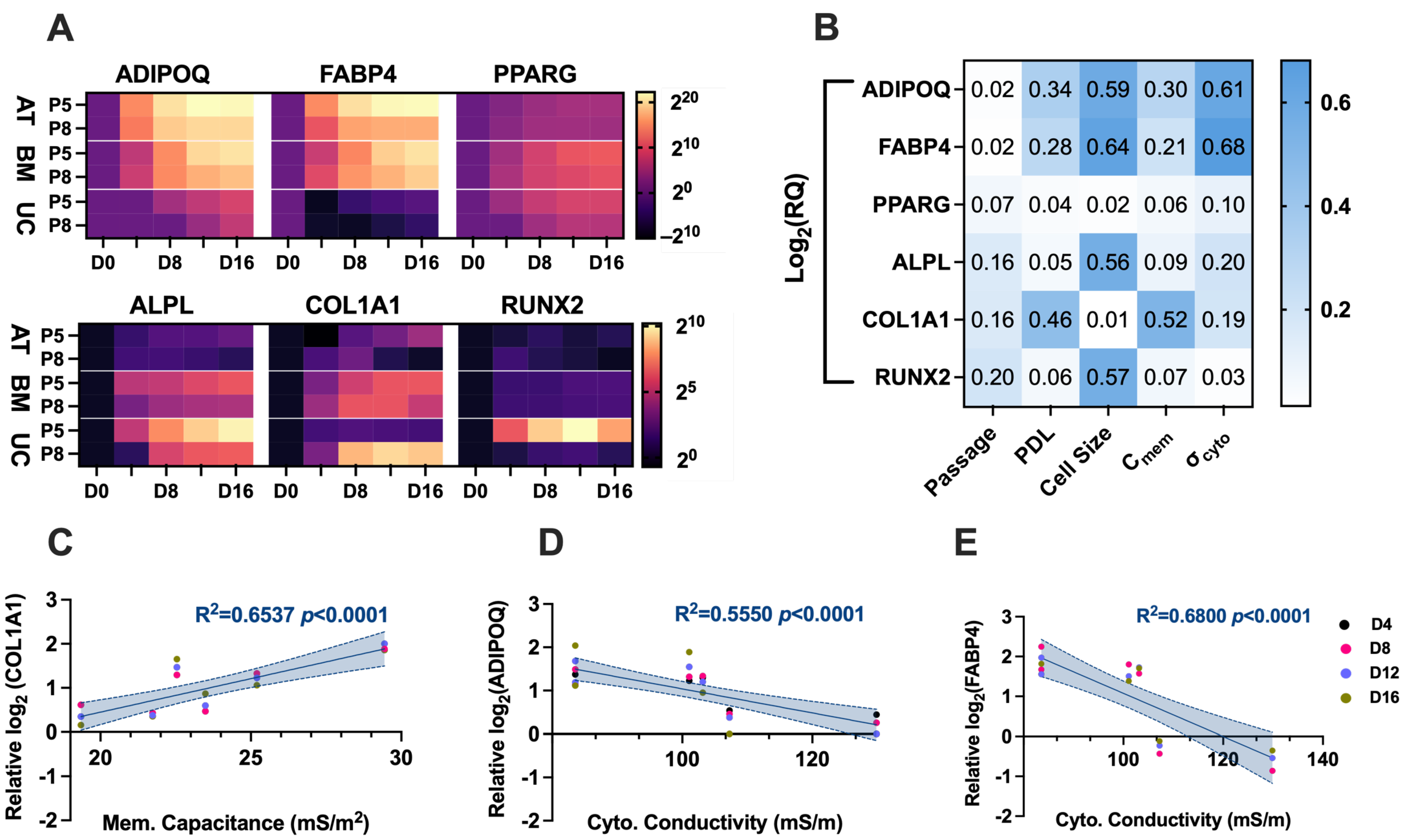 Micromachines 16 00435 g007