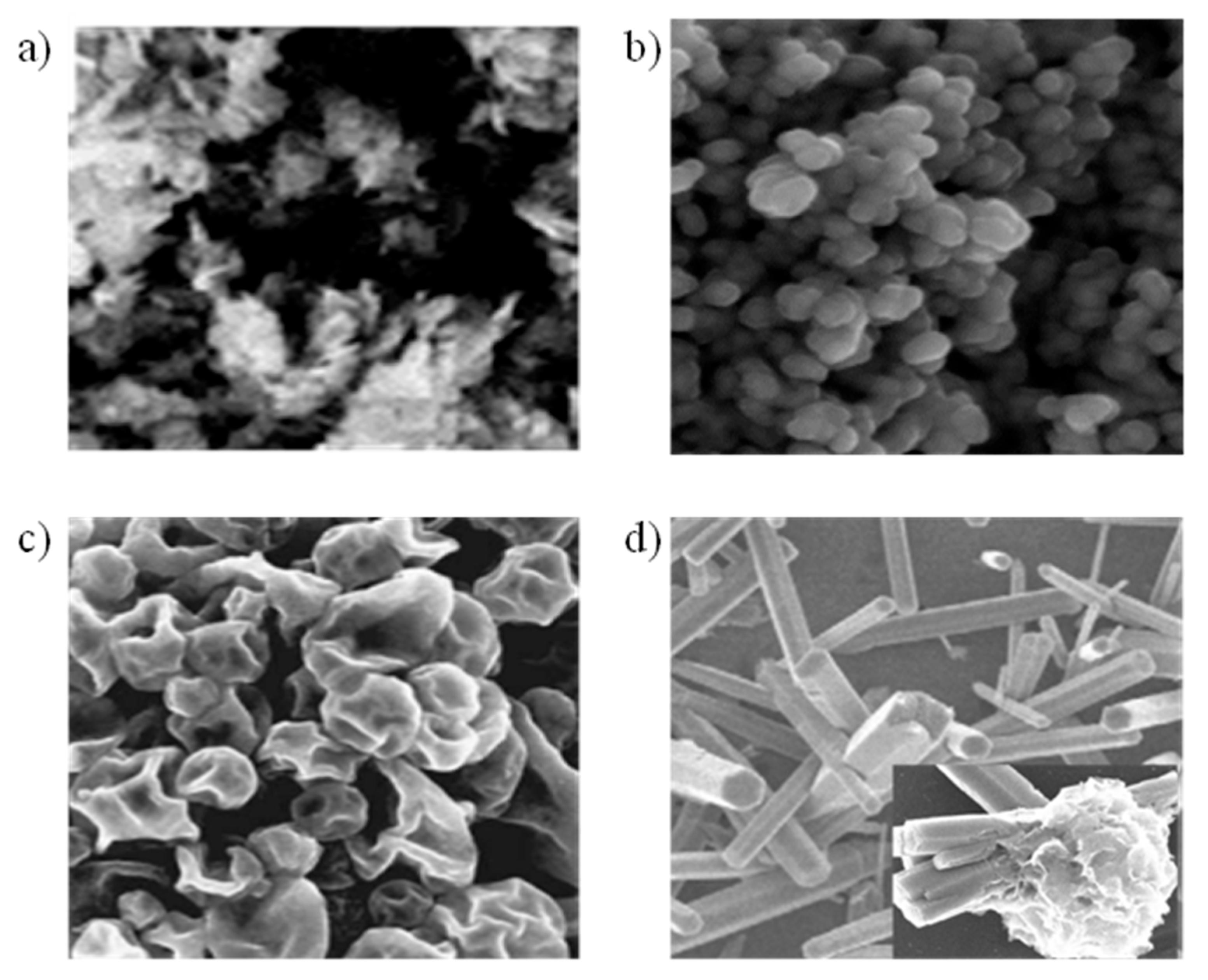 Micromachines 16 00466 g007