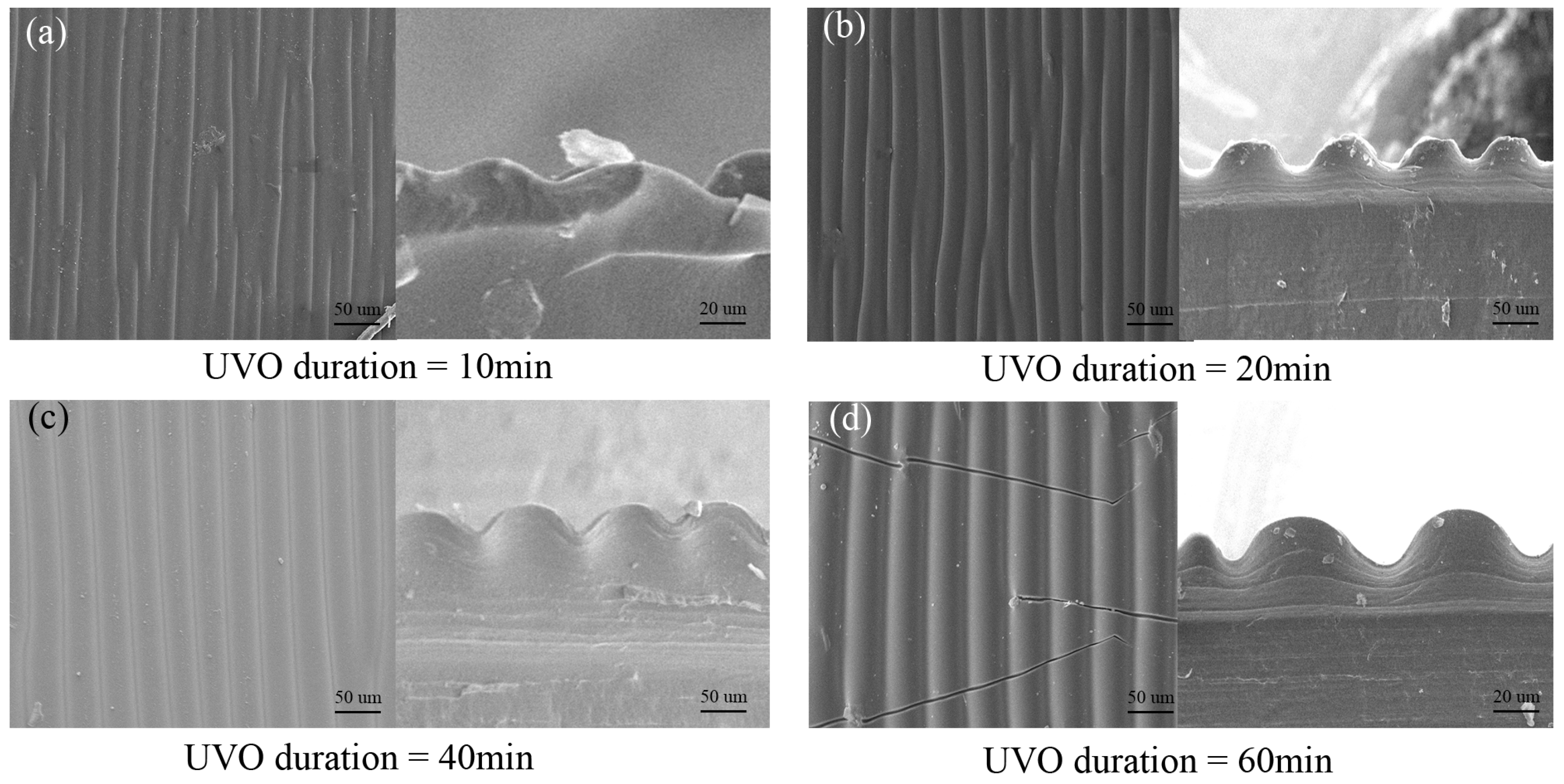 Micromachines 16 00468 g003