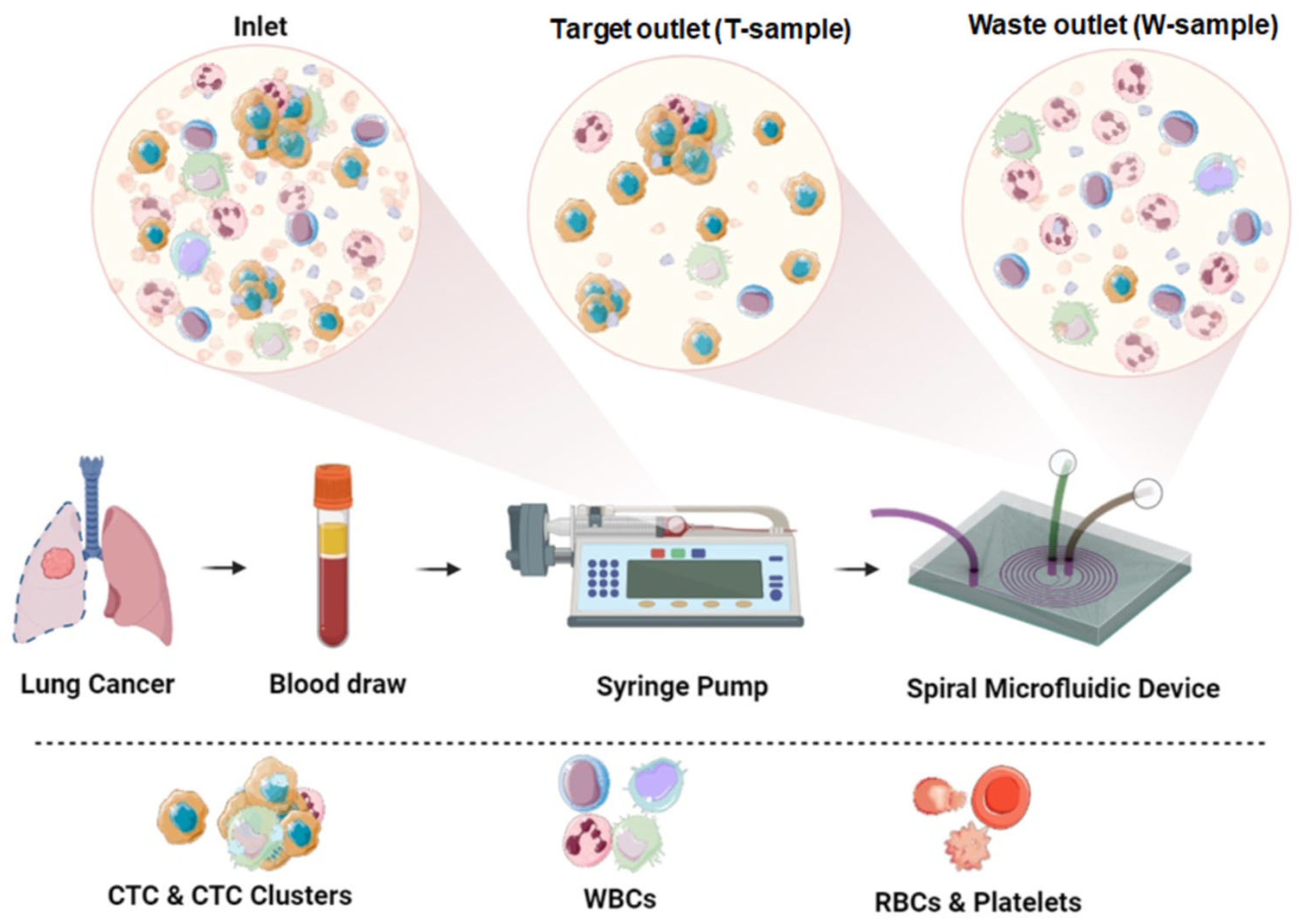 Micromachines 16 00470 g001