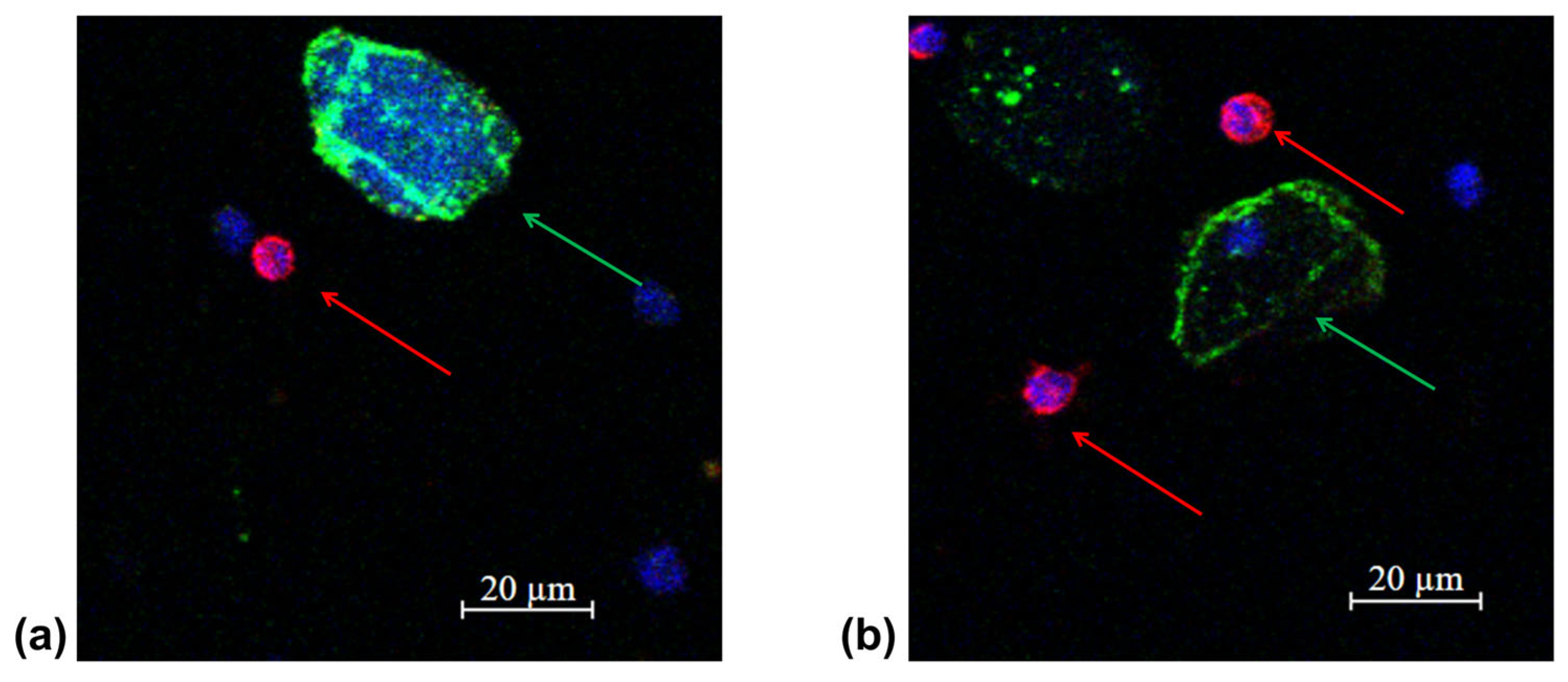 Micromachines 16 00470 g005