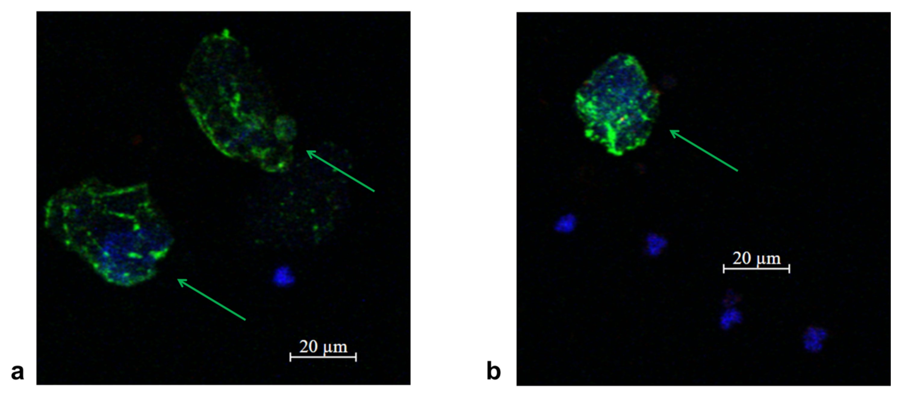 Micromachines 16 00470 g009
