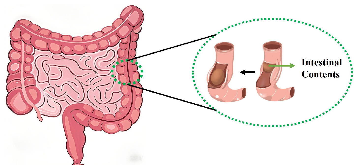 Micromachines 16 00498 g001