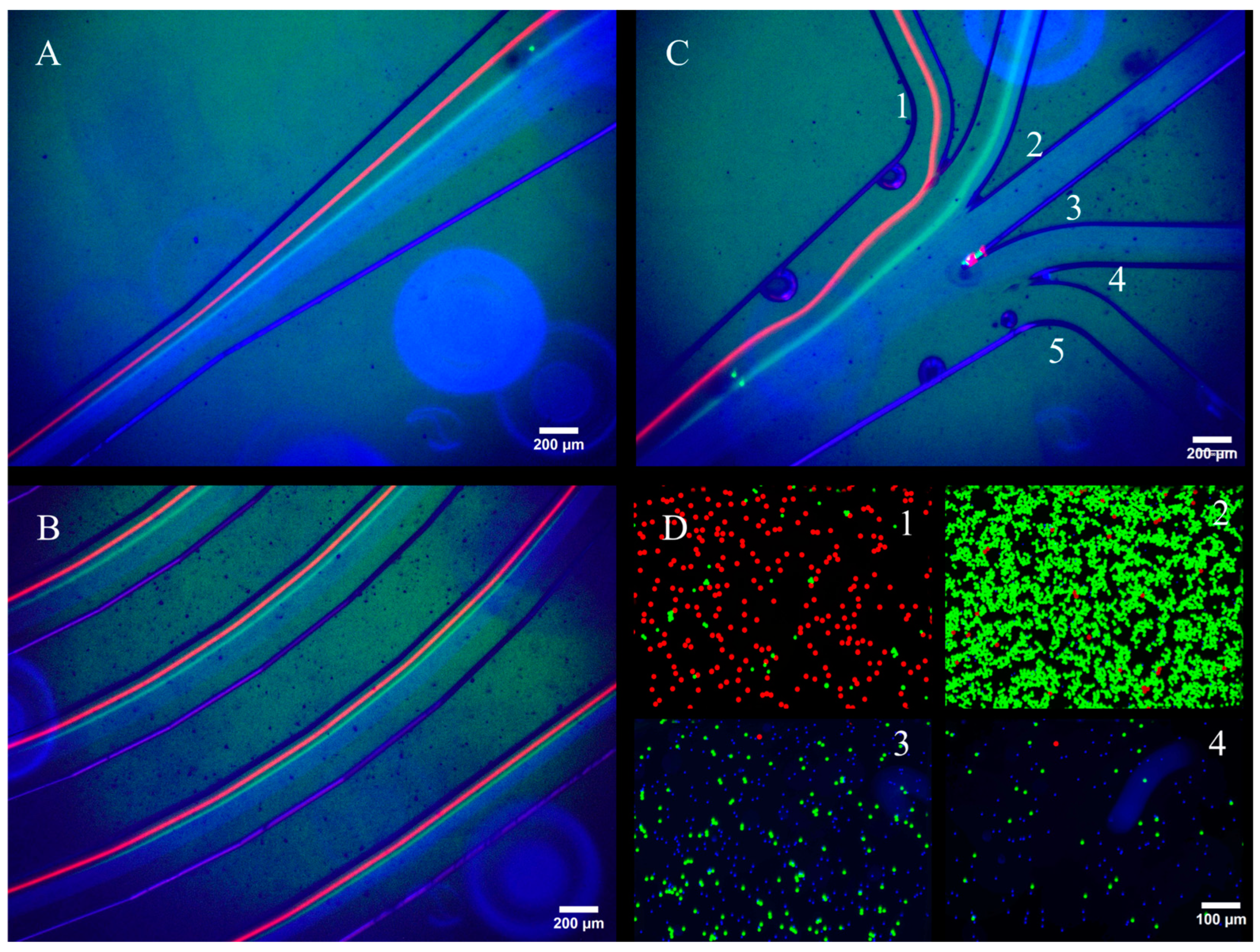 Micromachines 16 00500 g003