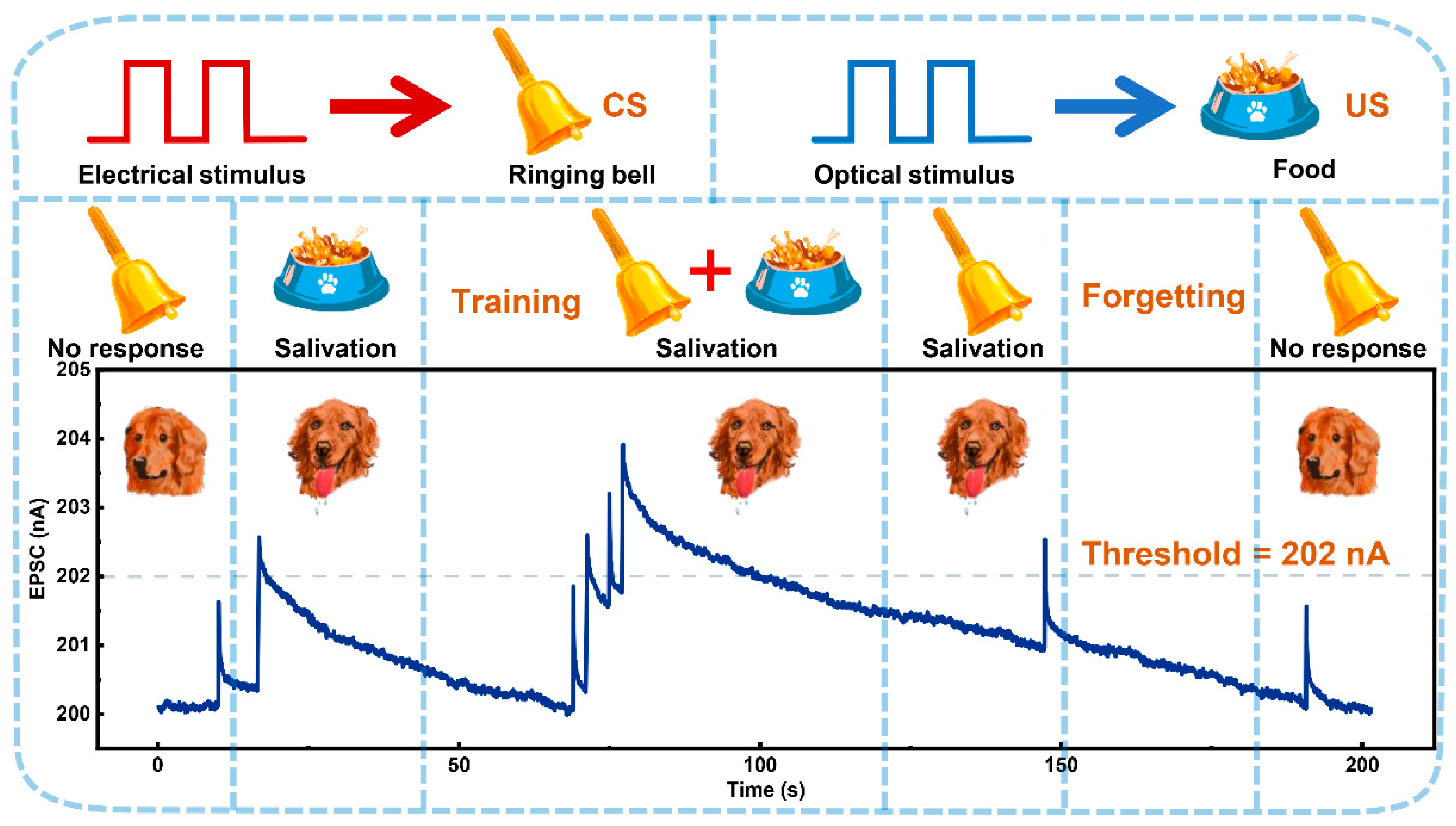 Micromachines 16 00517 g006