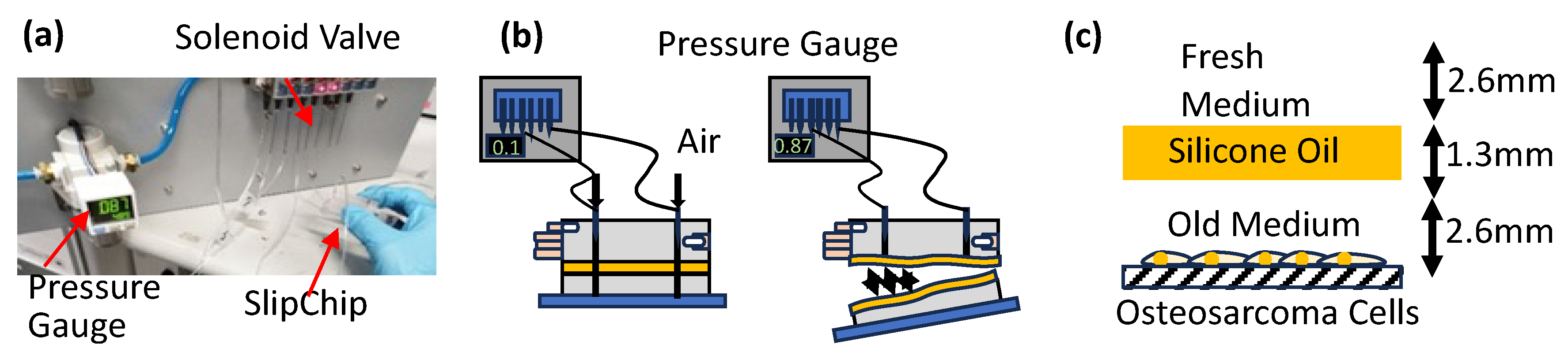 Micromachines 16 00525 g002