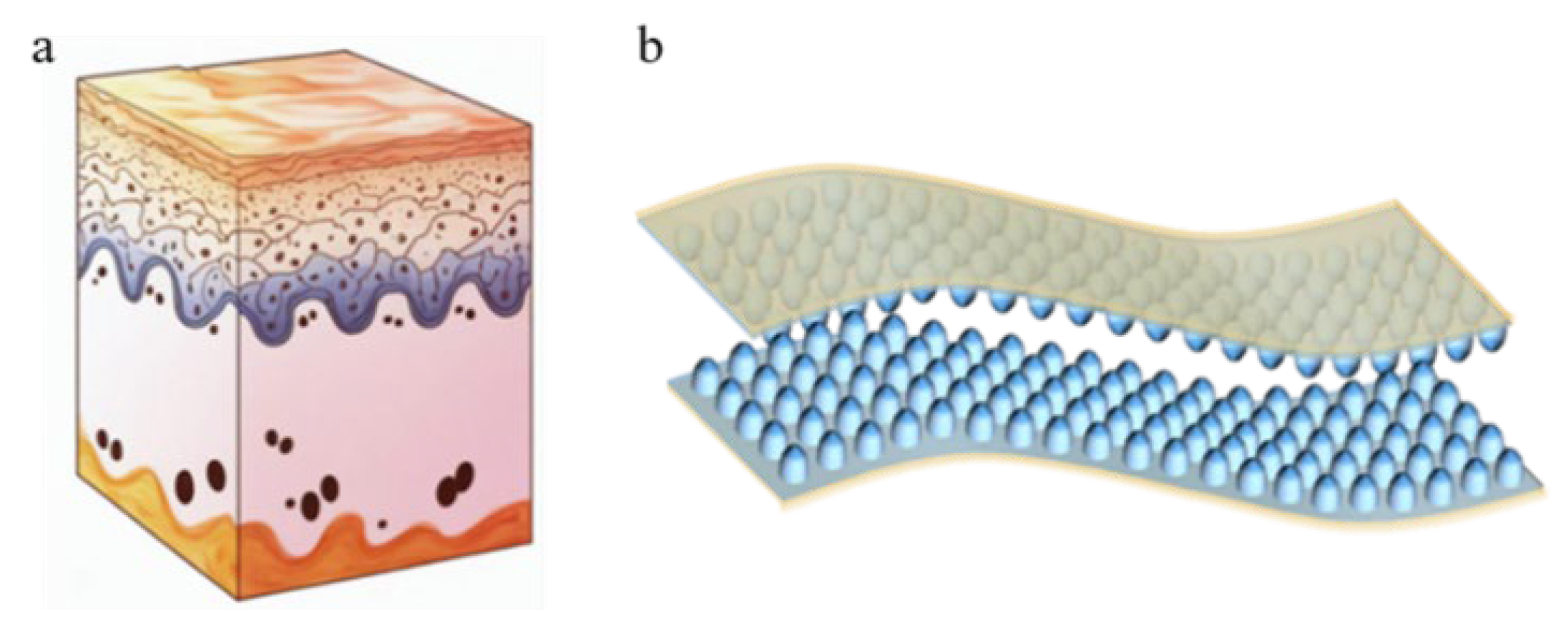 Micromachines 16 00526 g001