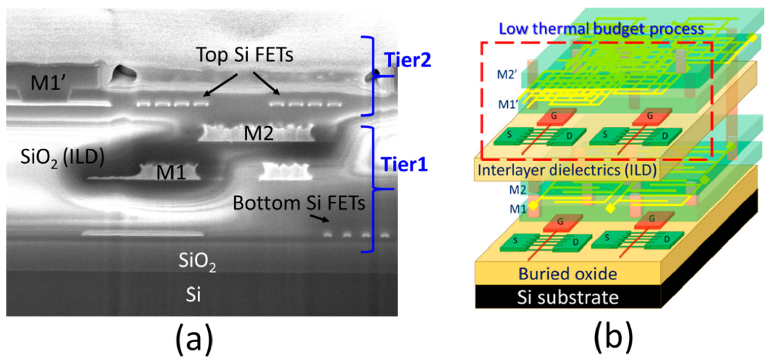 Micromachines 16 00537 g002
