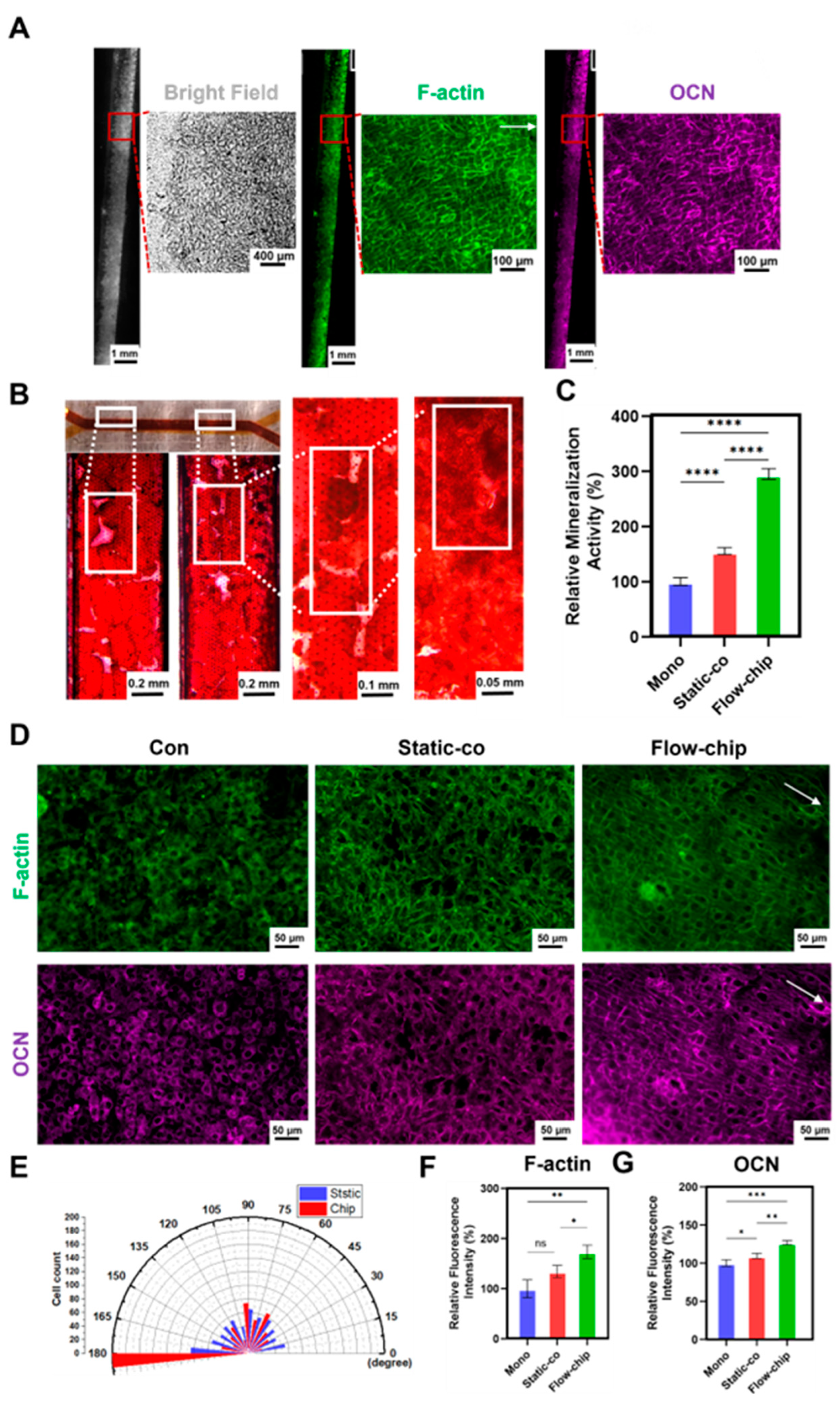 Micromachines 16 00539 g006