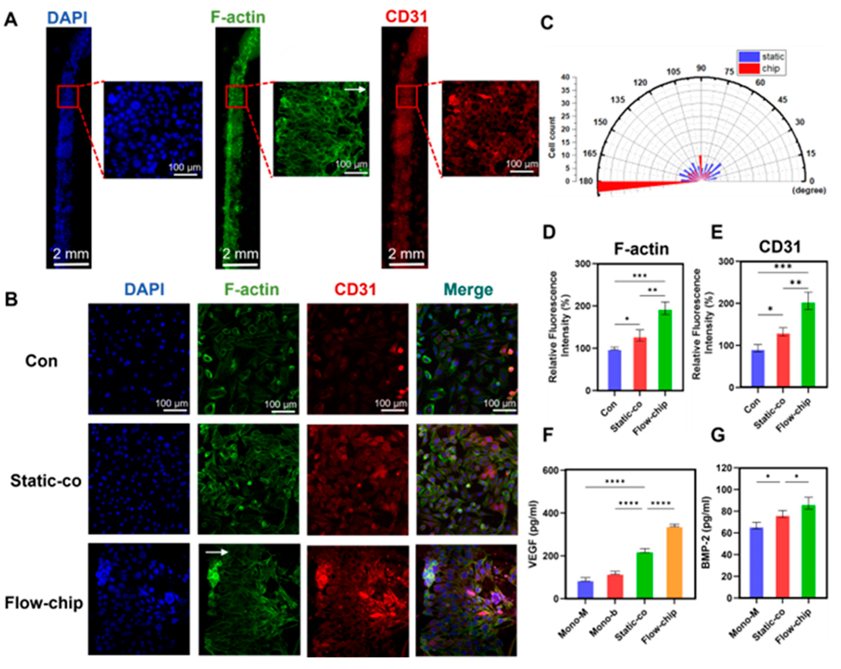 Micromachines 16 00539 g007