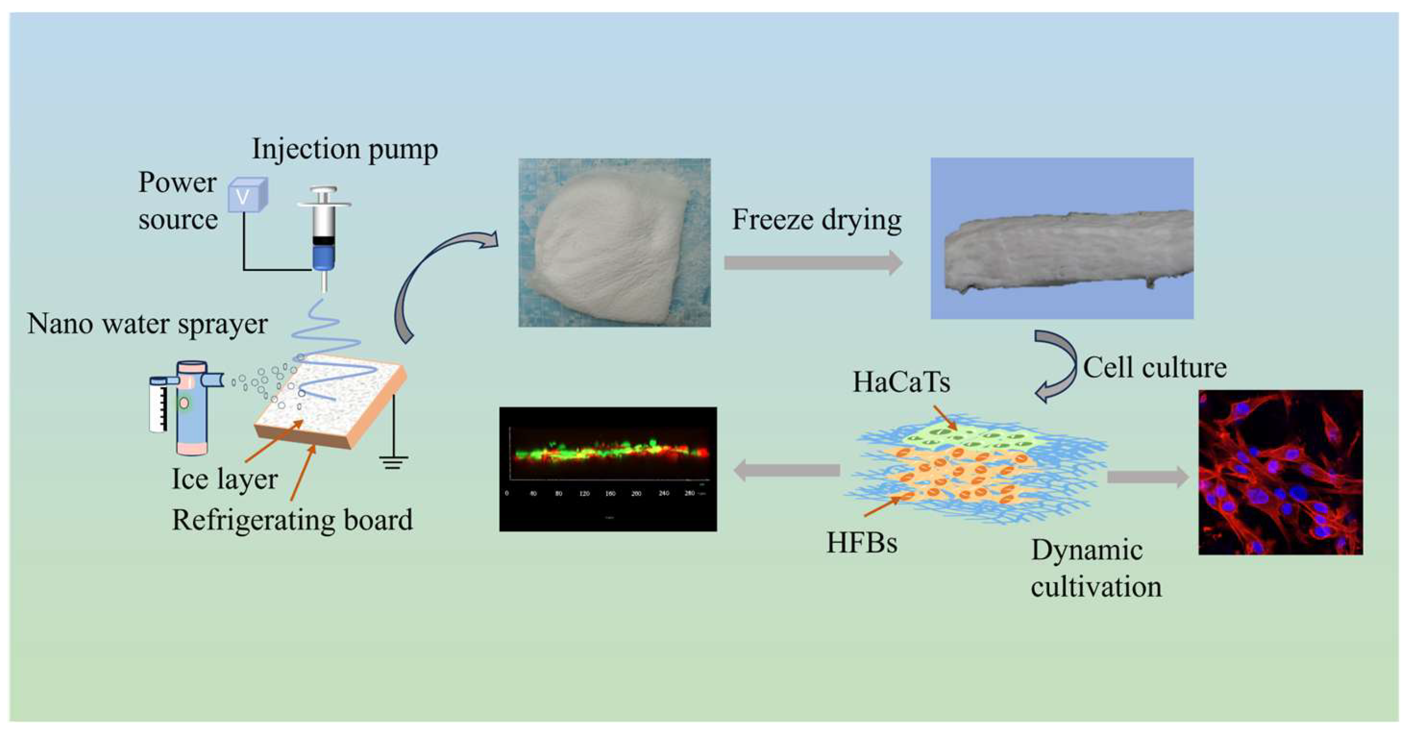 Micromachines 16 00552 g001