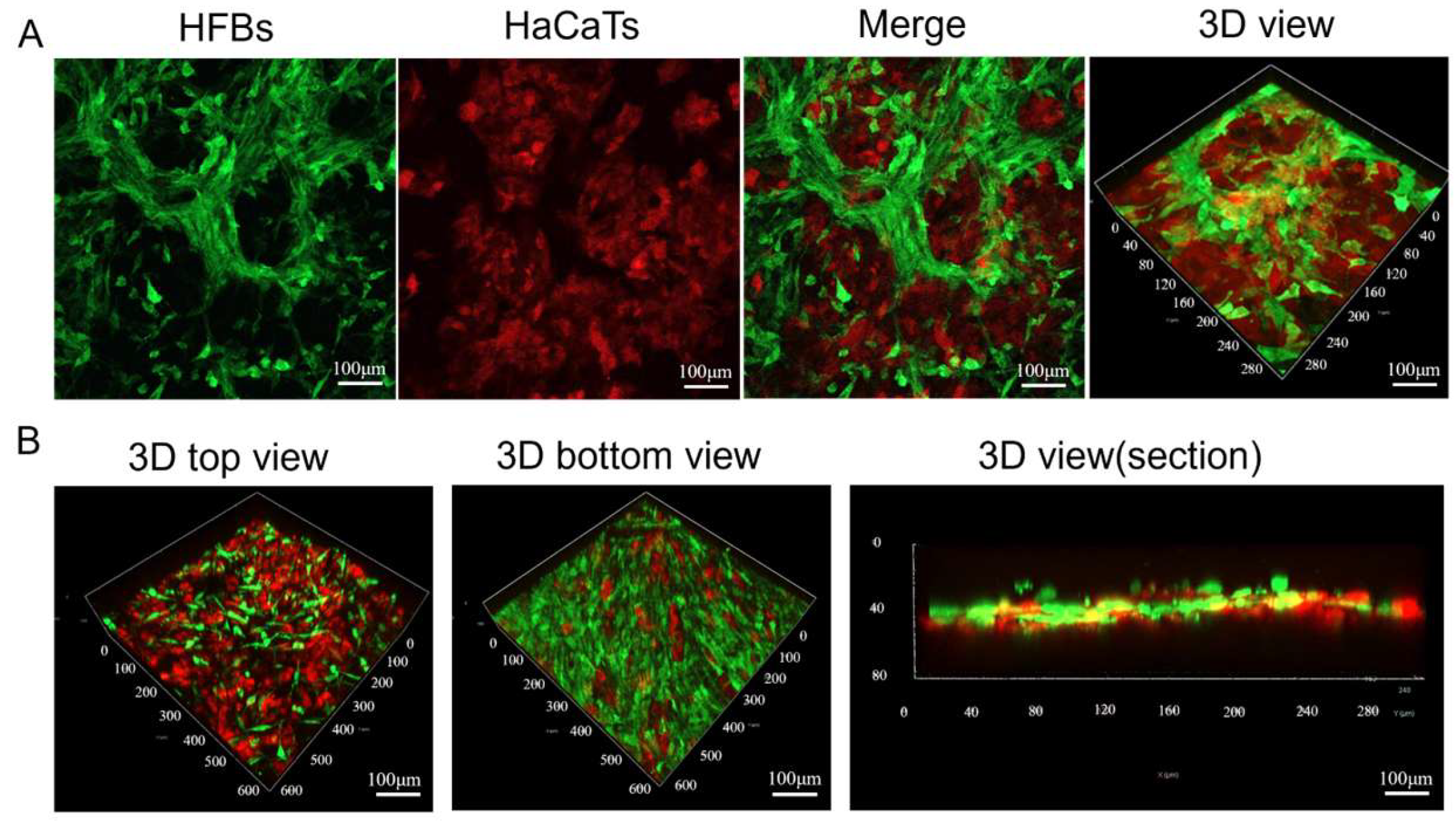 Micromachines 16 00552 g008