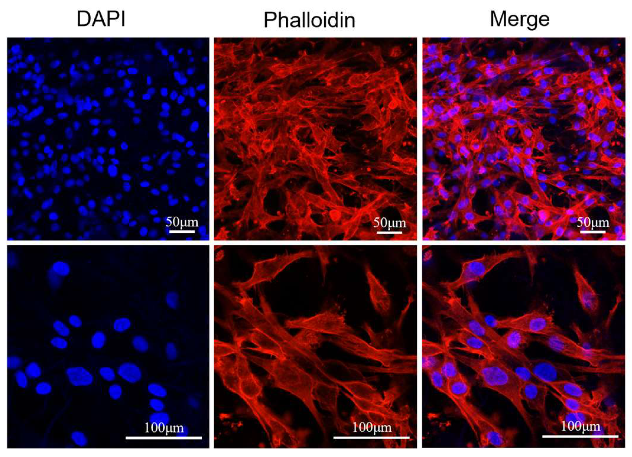 Micromachines 16 00552 g009