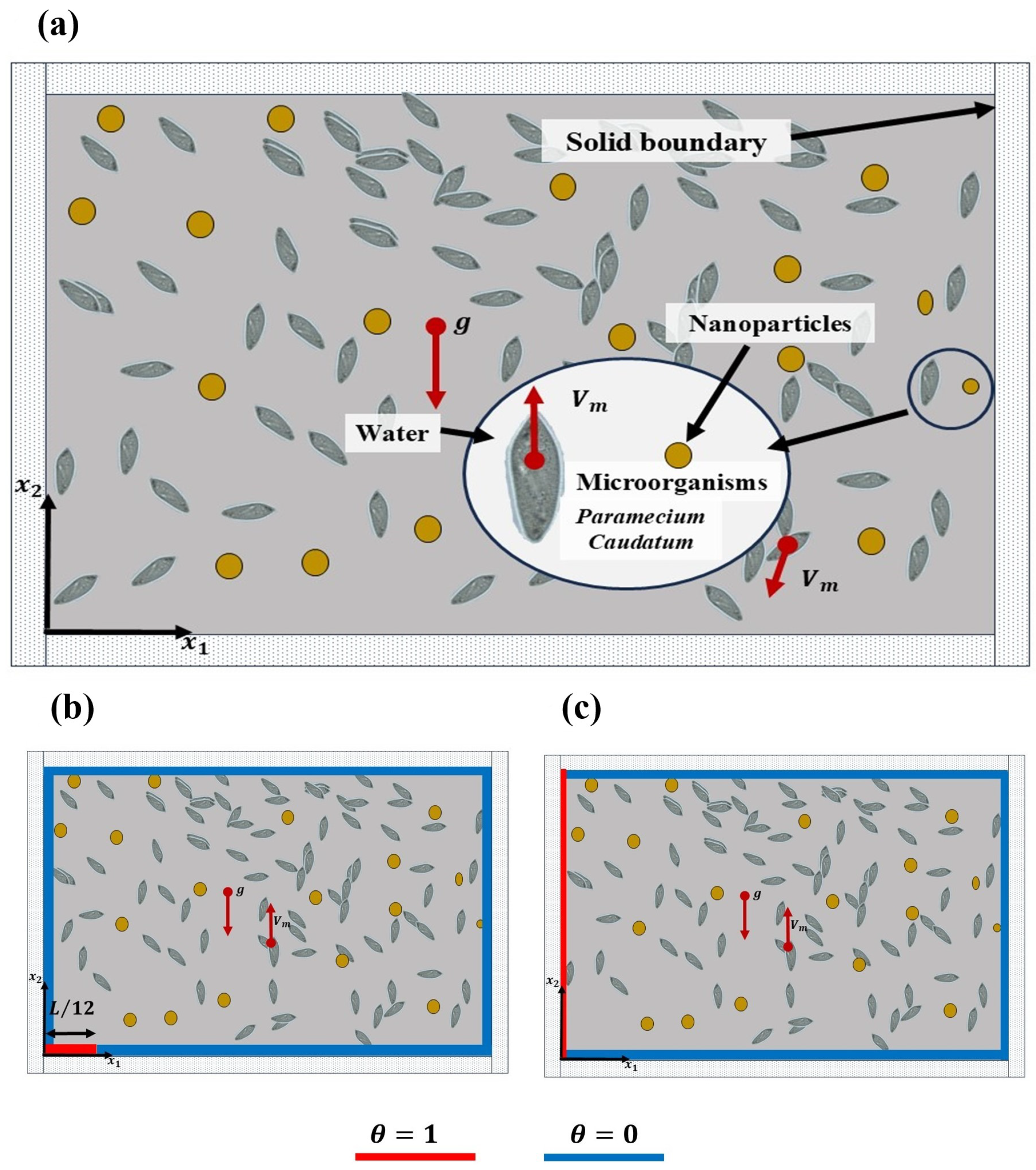 Micromachines 16 00553 g001