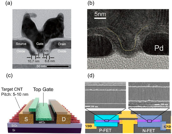 High-Performance Carbon Nanotube Electronic Devices