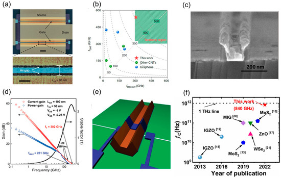 High-Performance Carbon Nanotube Electronic Devices