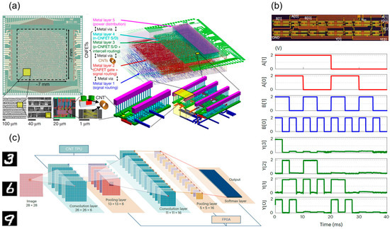 High-Performance Carbon Nanotube Electronic Devices