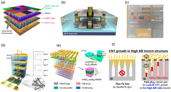 High-Performance Carbon Nanotube Electronic Devices