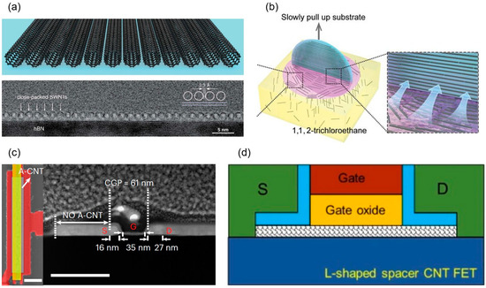 High-Performance Carbon Nanotube Electronic Devices