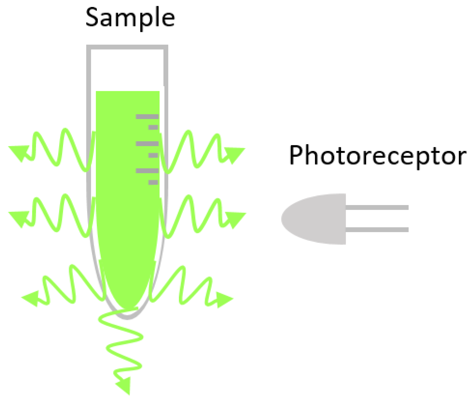 Micromachines 16 00564 g006