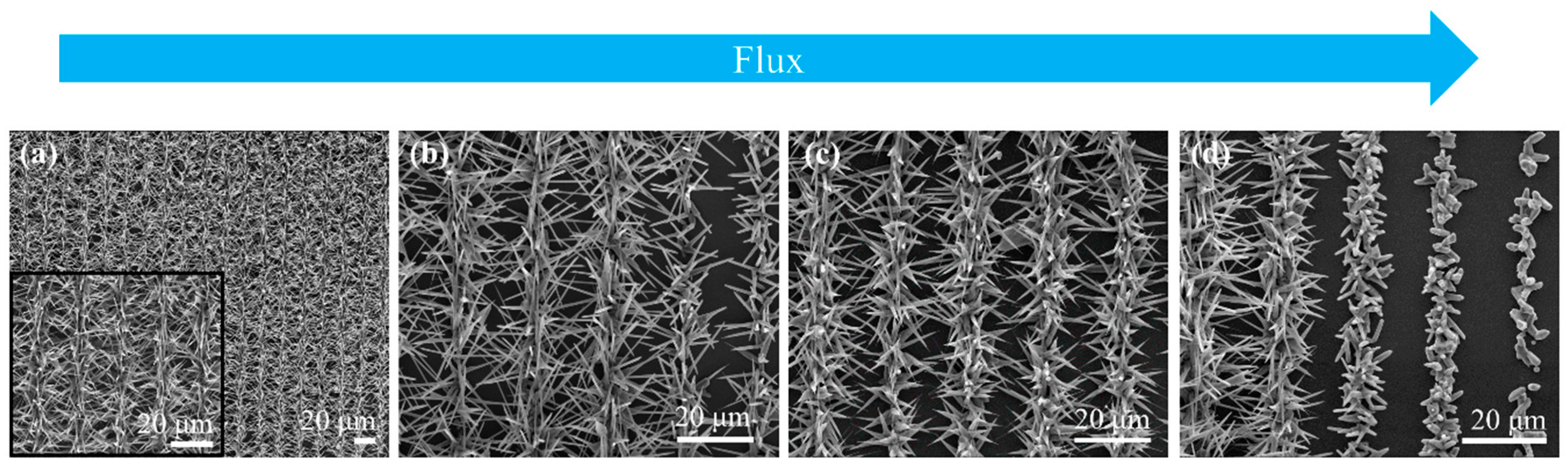 Micromachines 16 00573 g004
