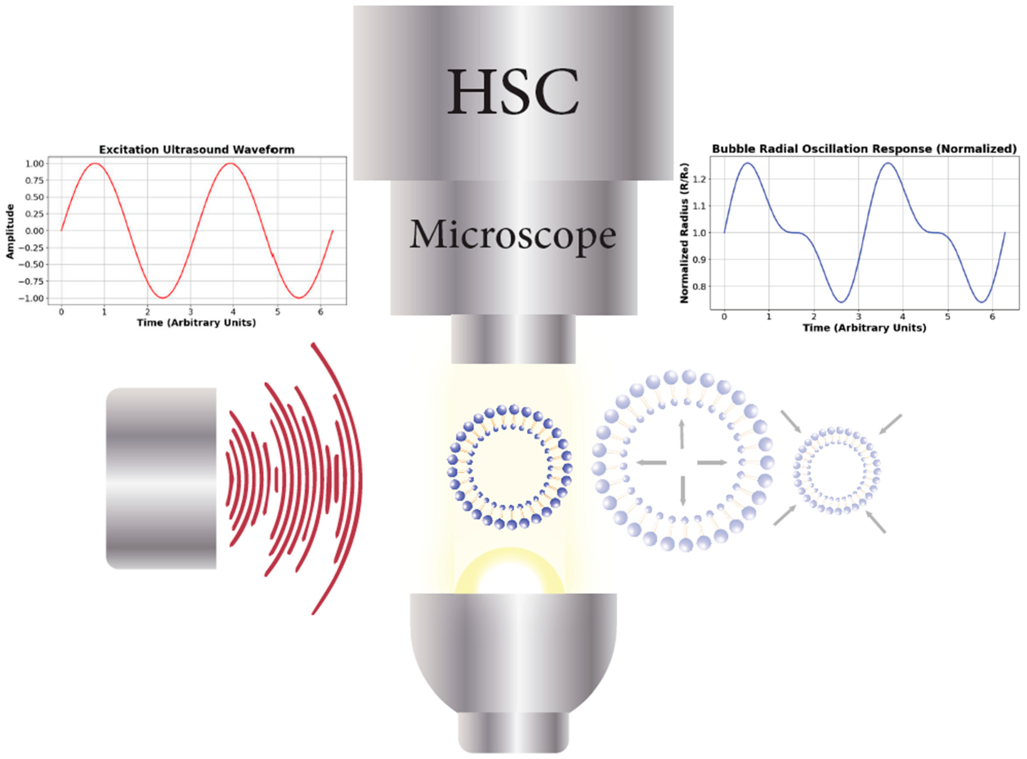 Micromachines 16 00588 g004