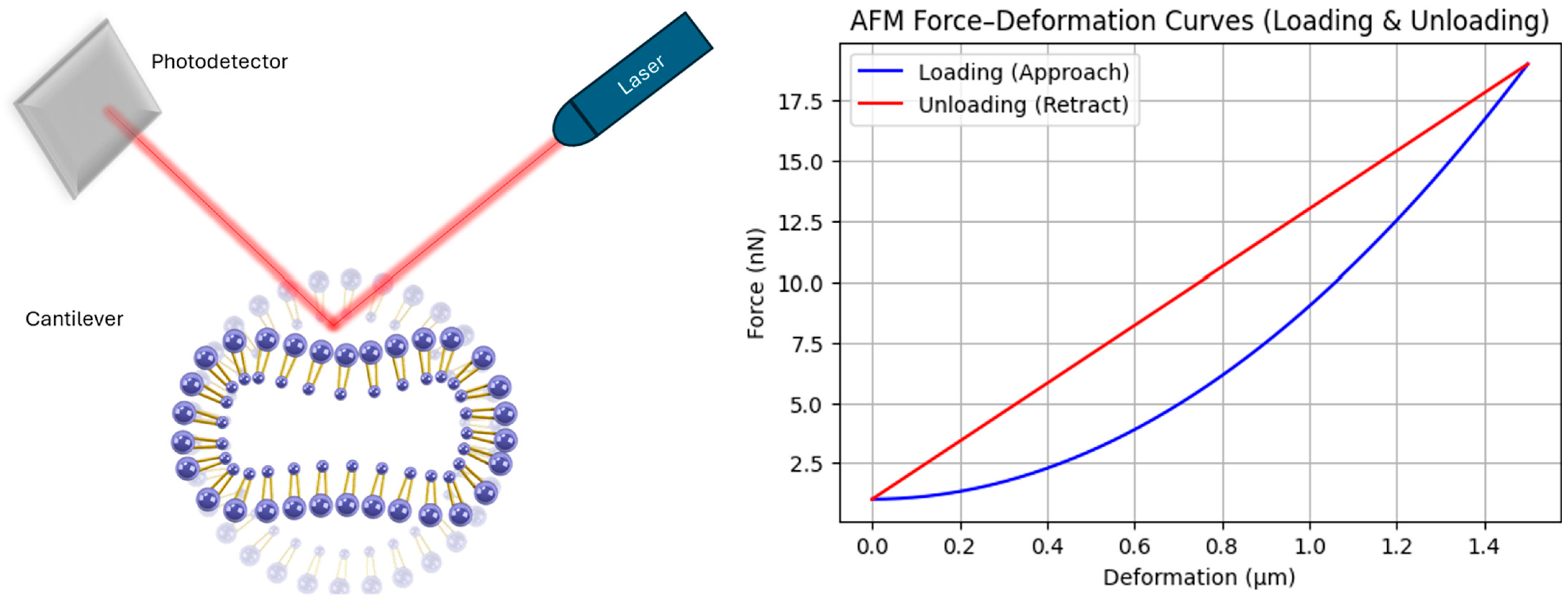 Micromachines 16 00588 g005