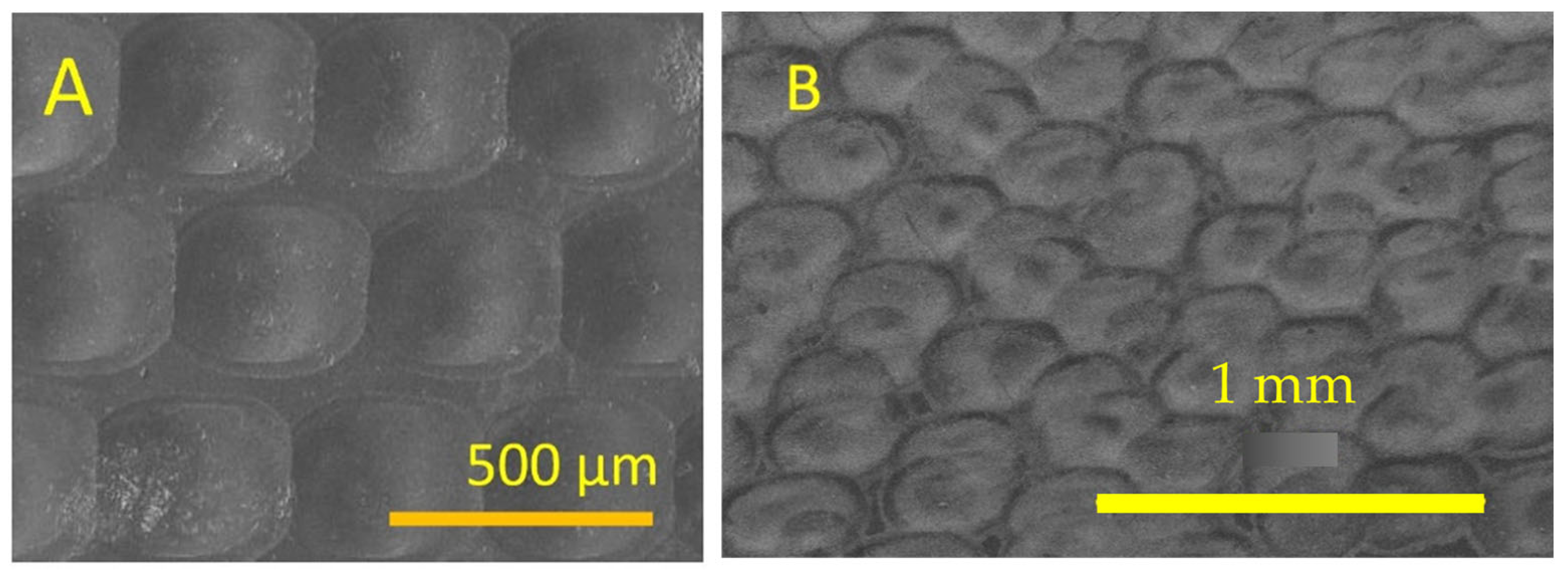 Micromachines 16 00608 g004 Micromachines 16 00608 g004