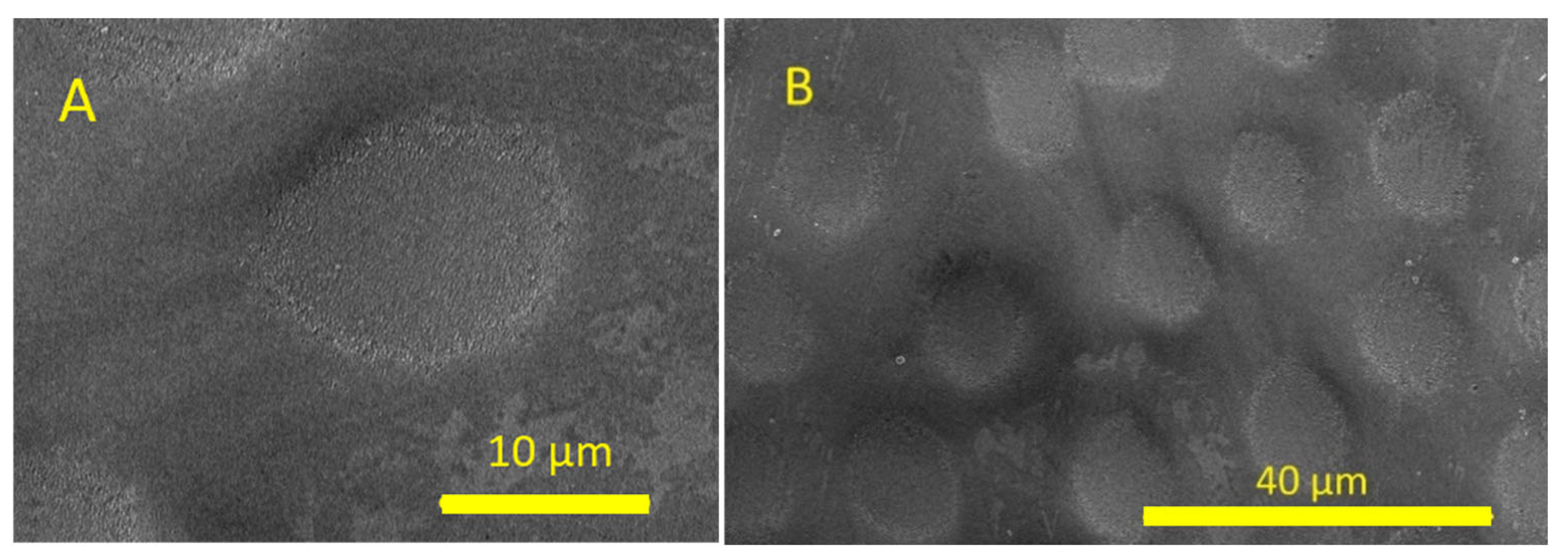 Micromachines 16 00608 g006 Micromachines 16 00608 g006