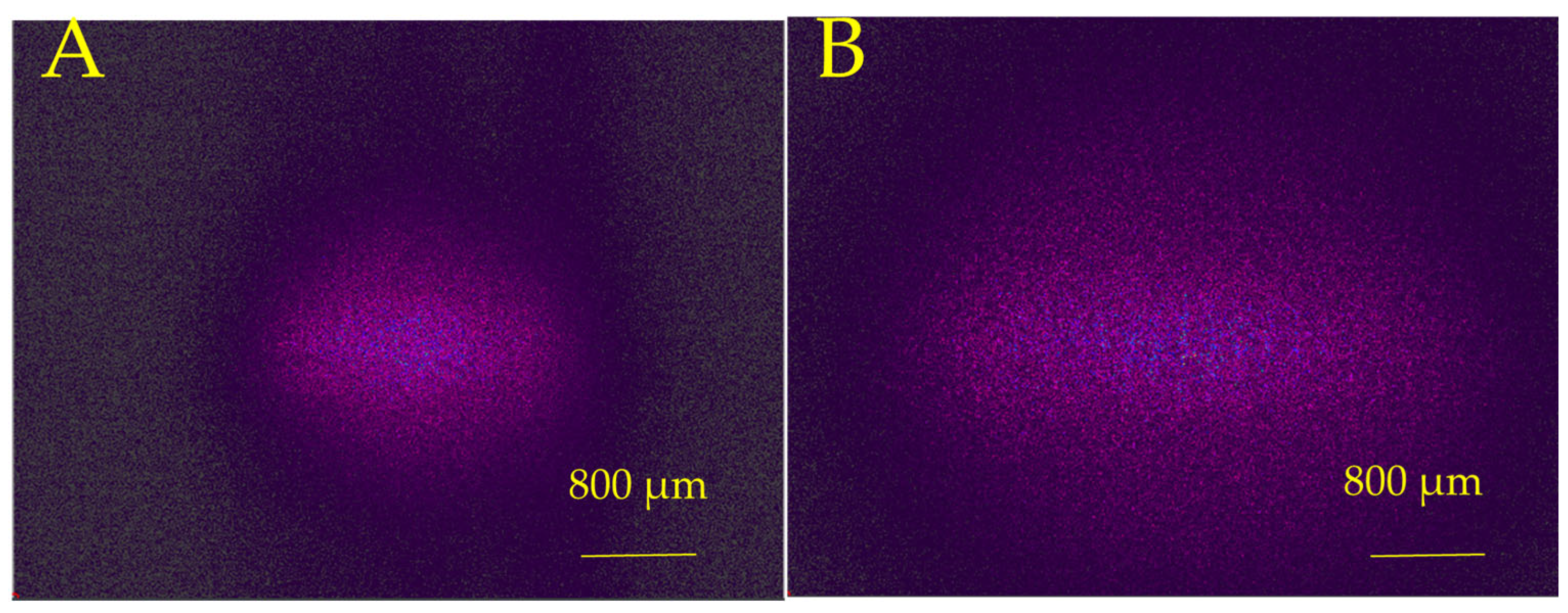 Micromachines 16 00608 g014 Micromachines 16 00608 g014