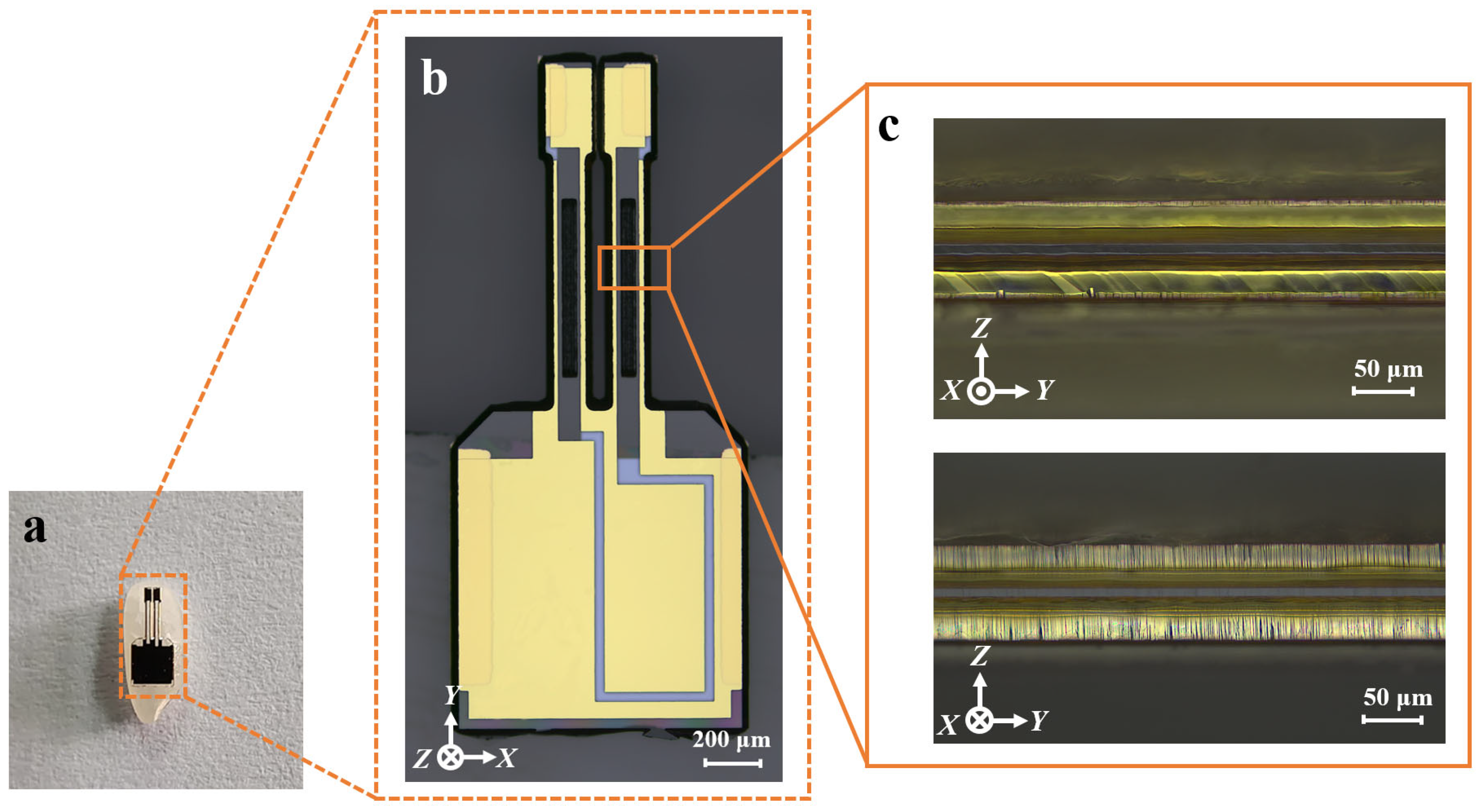 Micromachines 16 00609 g016
