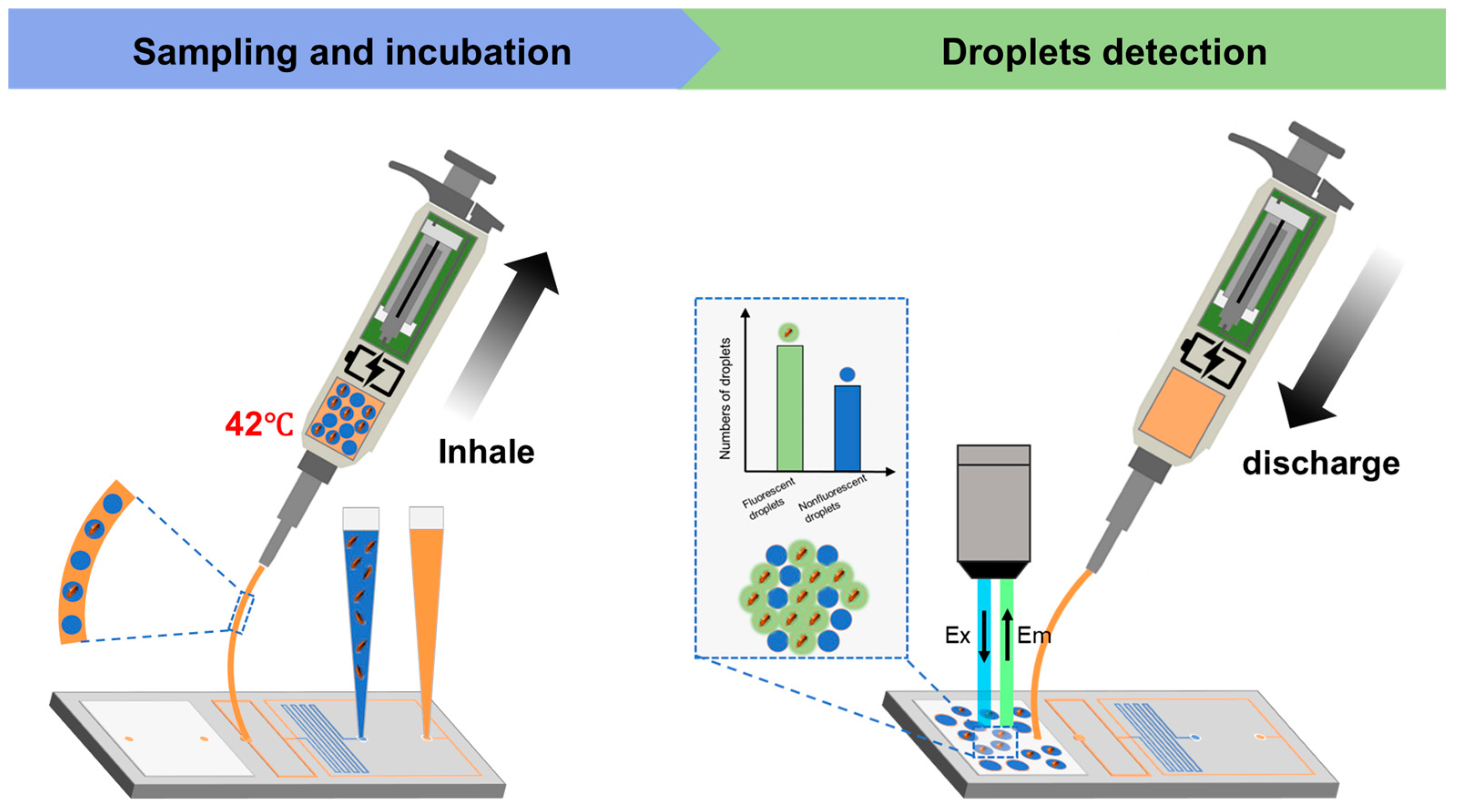 Micromachines 16 00630 g004