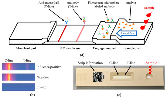 Development of a Fluorescent Rapid Test Sensing System for