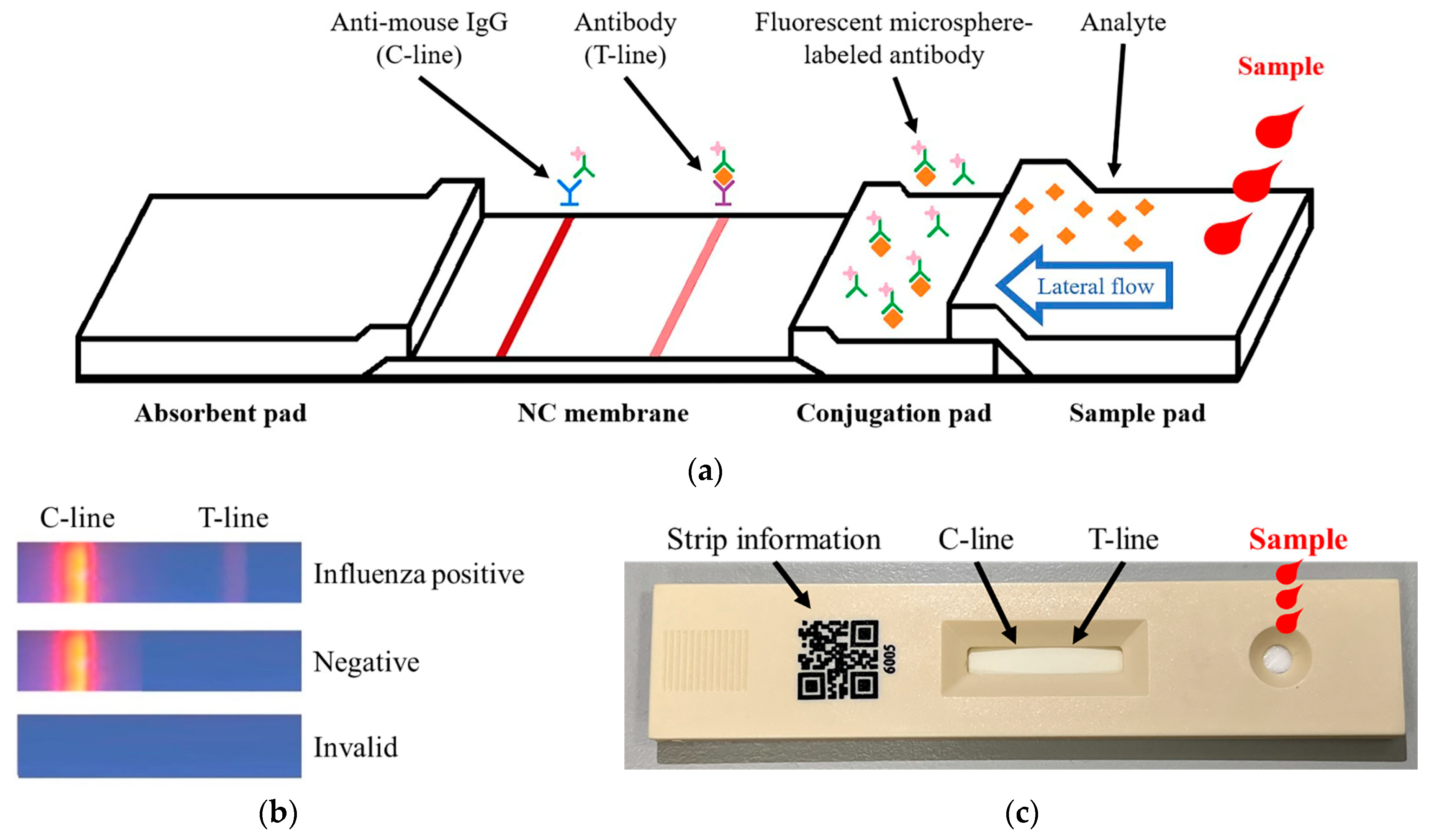 Micromachines 16 00635 g001 Micromachines 16 00635 g001