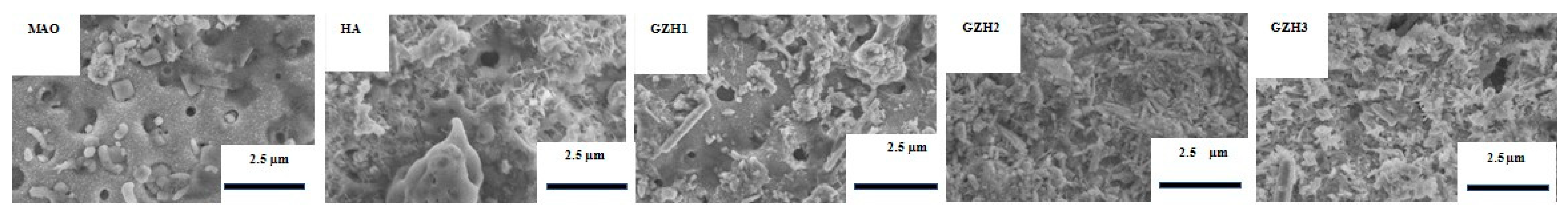Micromachines 16 00637 g012