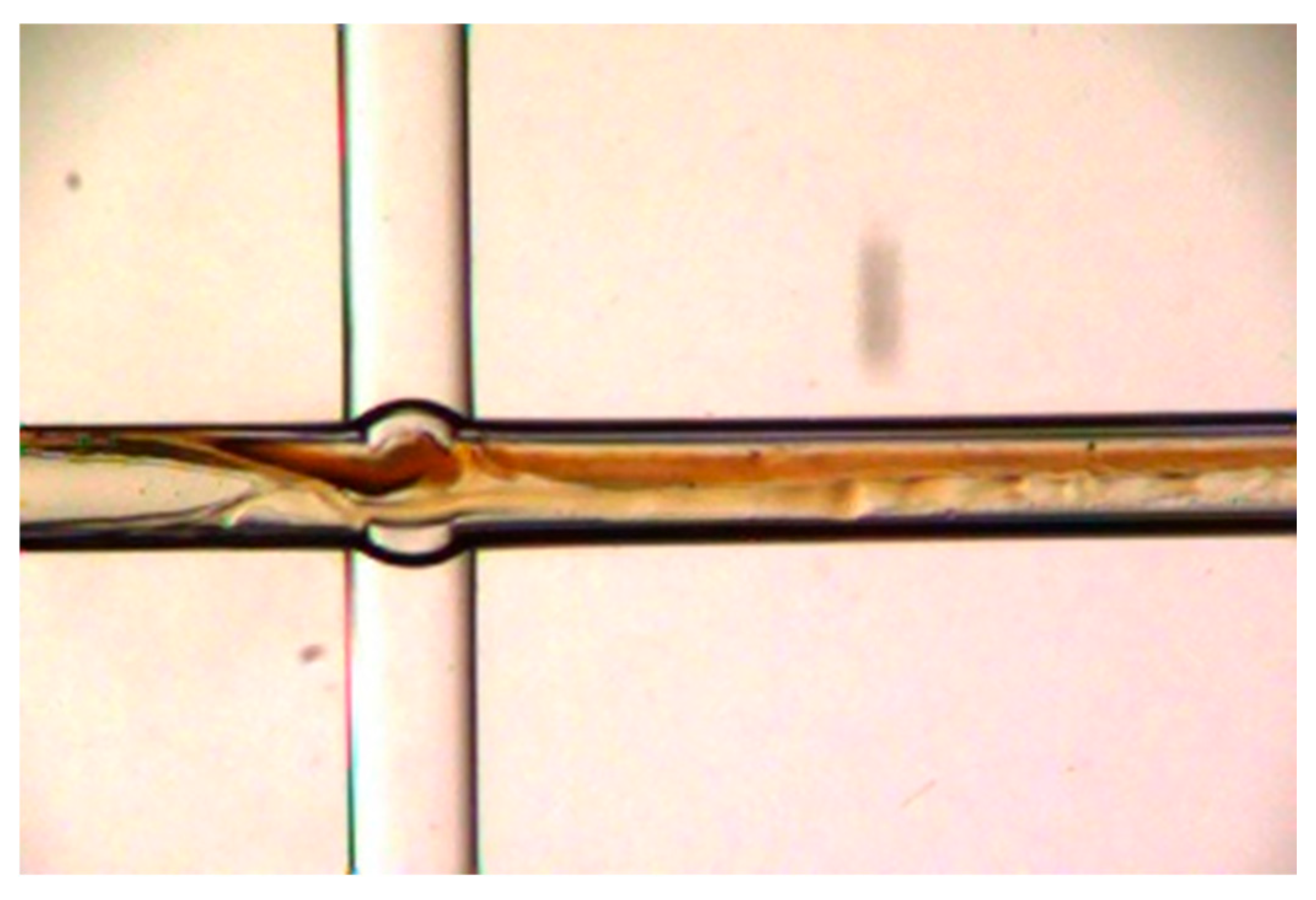 Micromachines 16 00638 g004