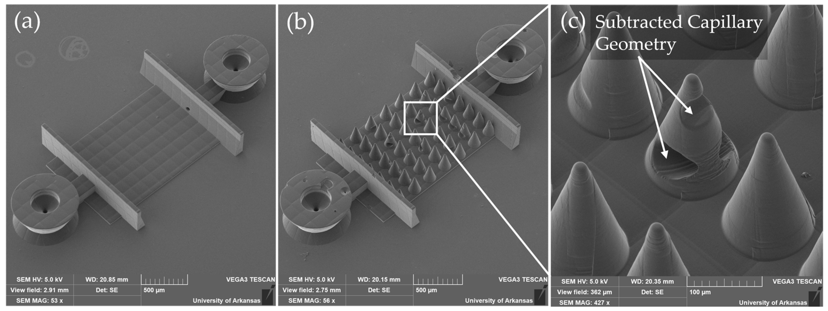 Micromachines 16 00691 g006